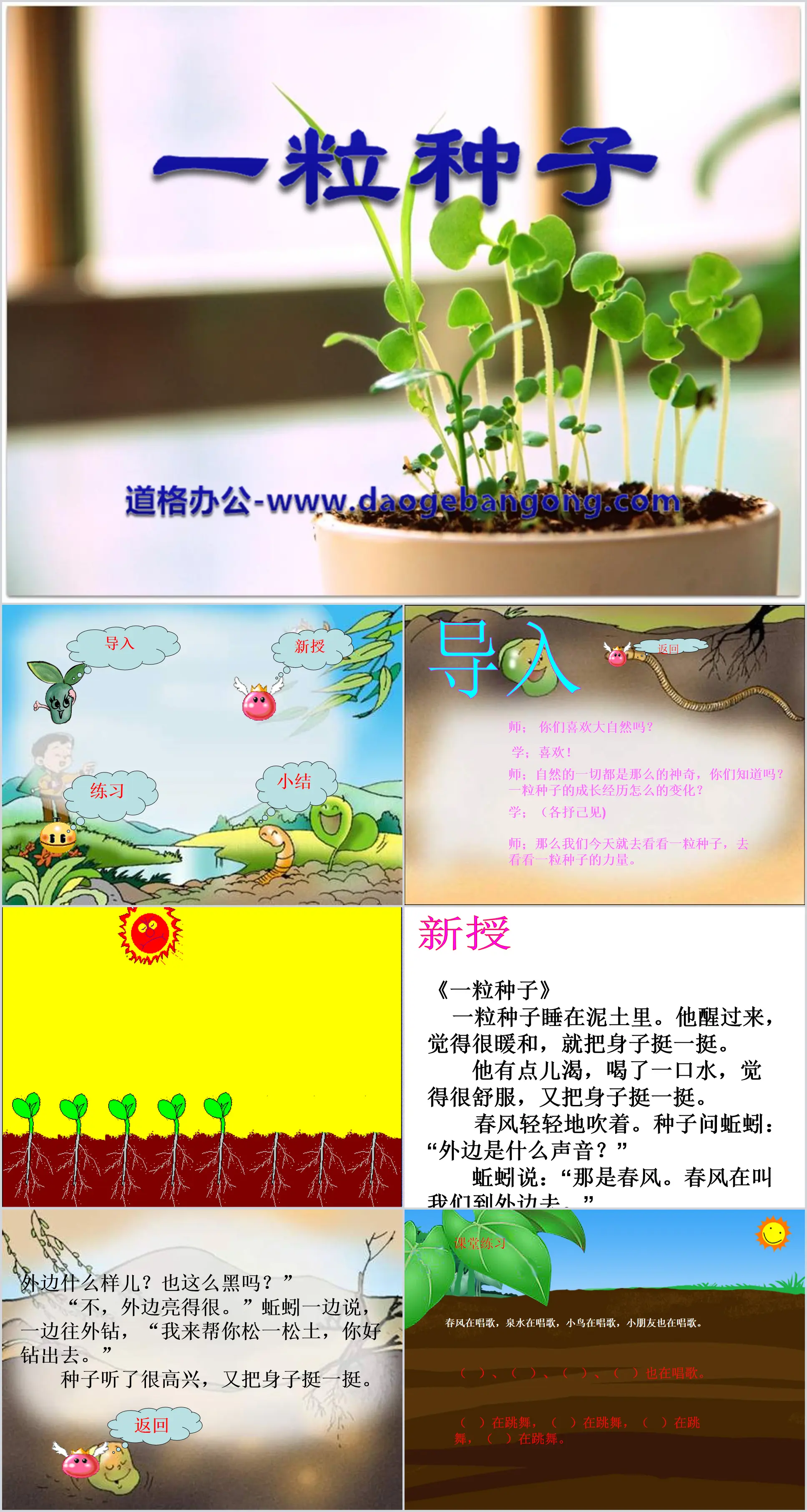 "A Seed" PPT courseware 4