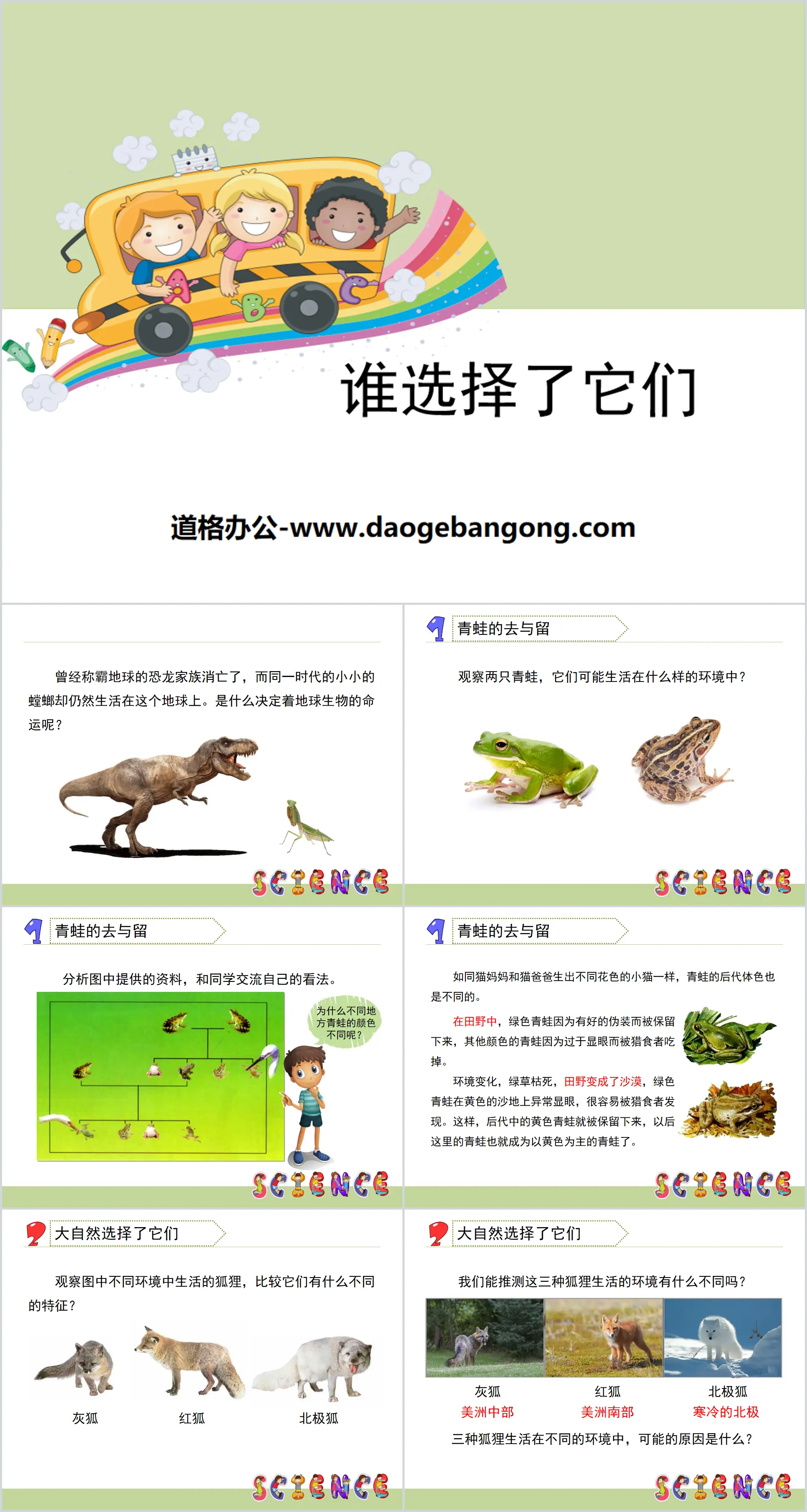 《谁选择了它们》生物的多样性PPT
