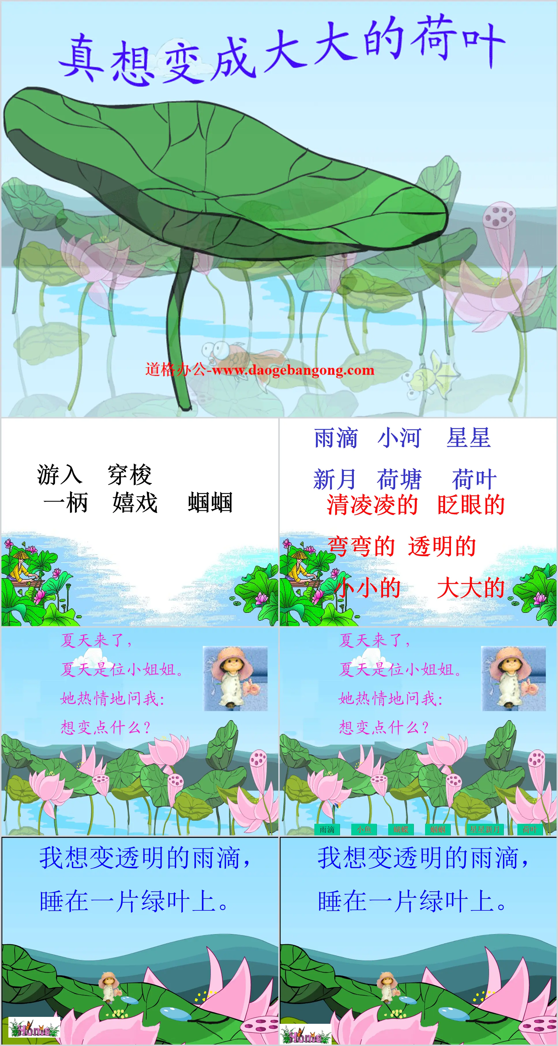 "I really want to become a big lotus leaf" PPT courseware 2