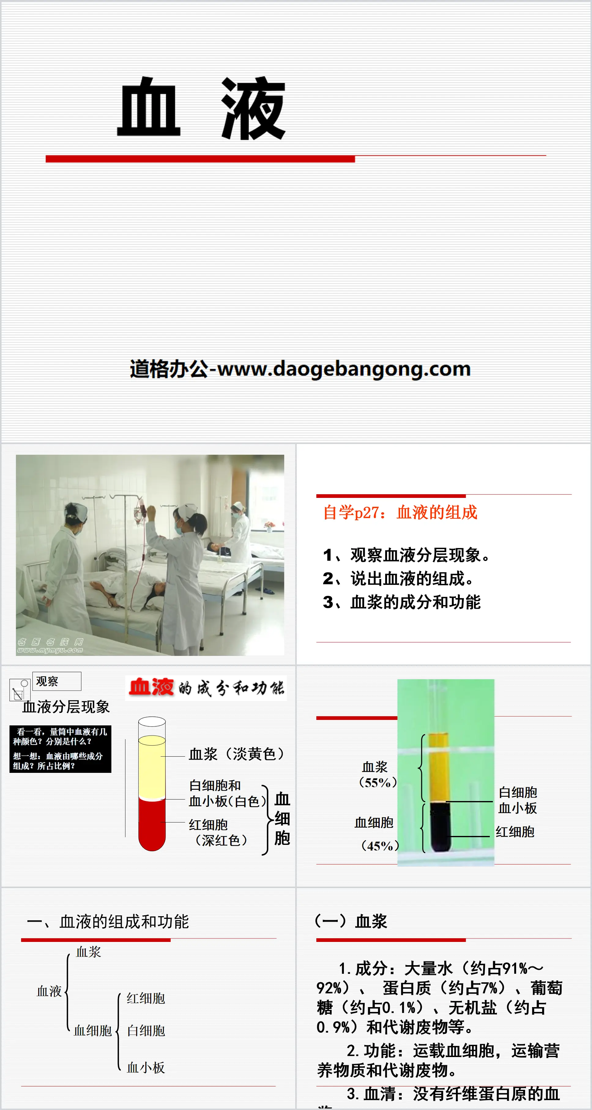 《血液》PPT下载
