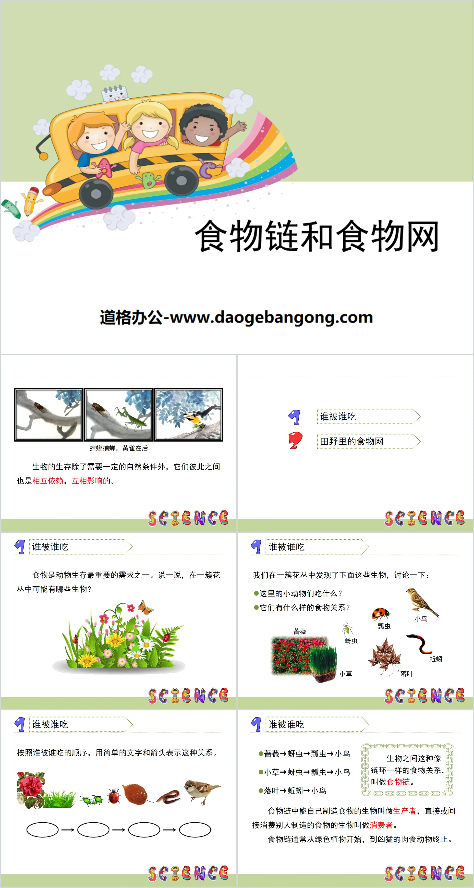 《食物链和食物网》生物与环境PPT下载
