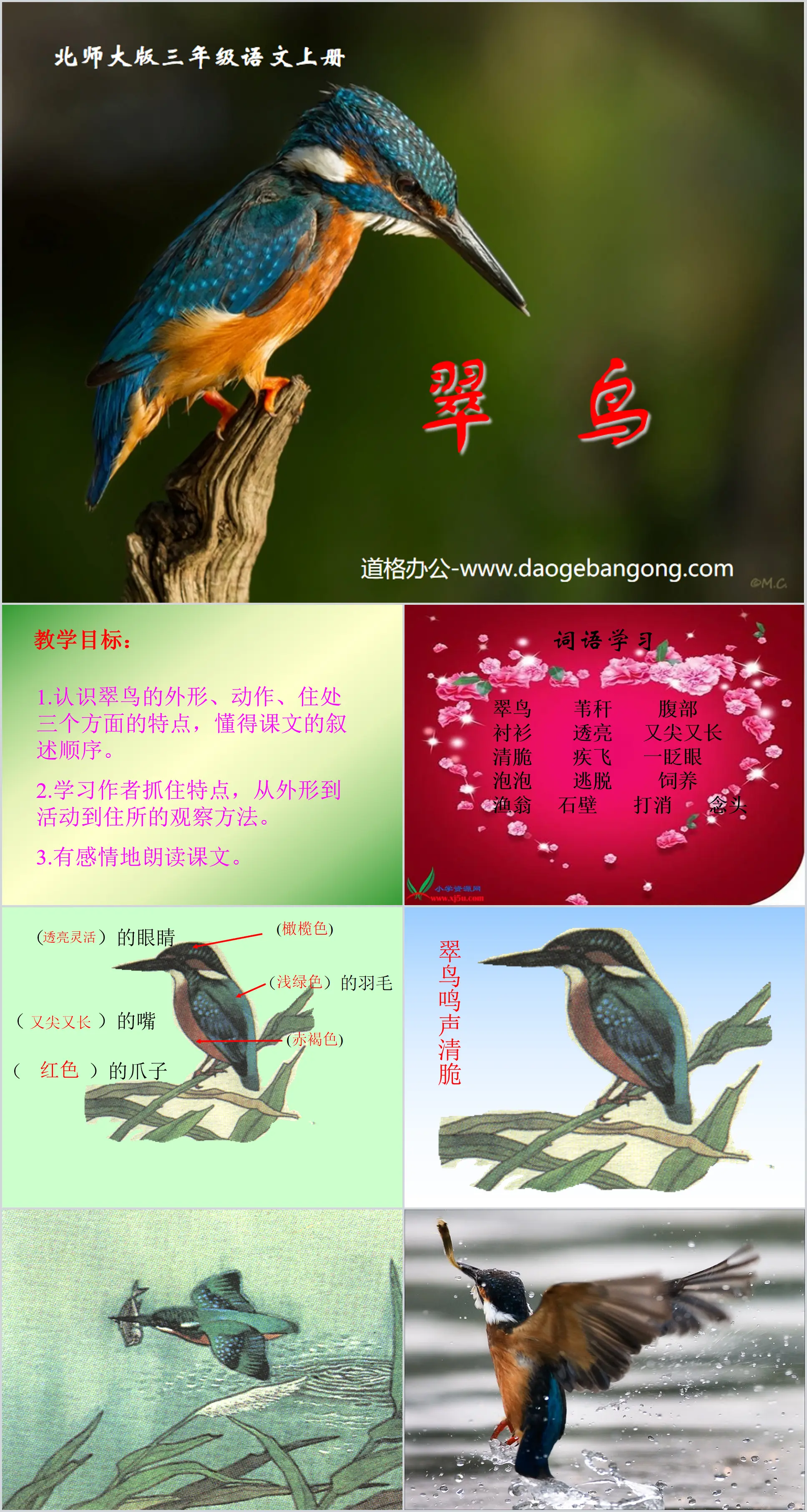 《翠鳥》PPT課件2