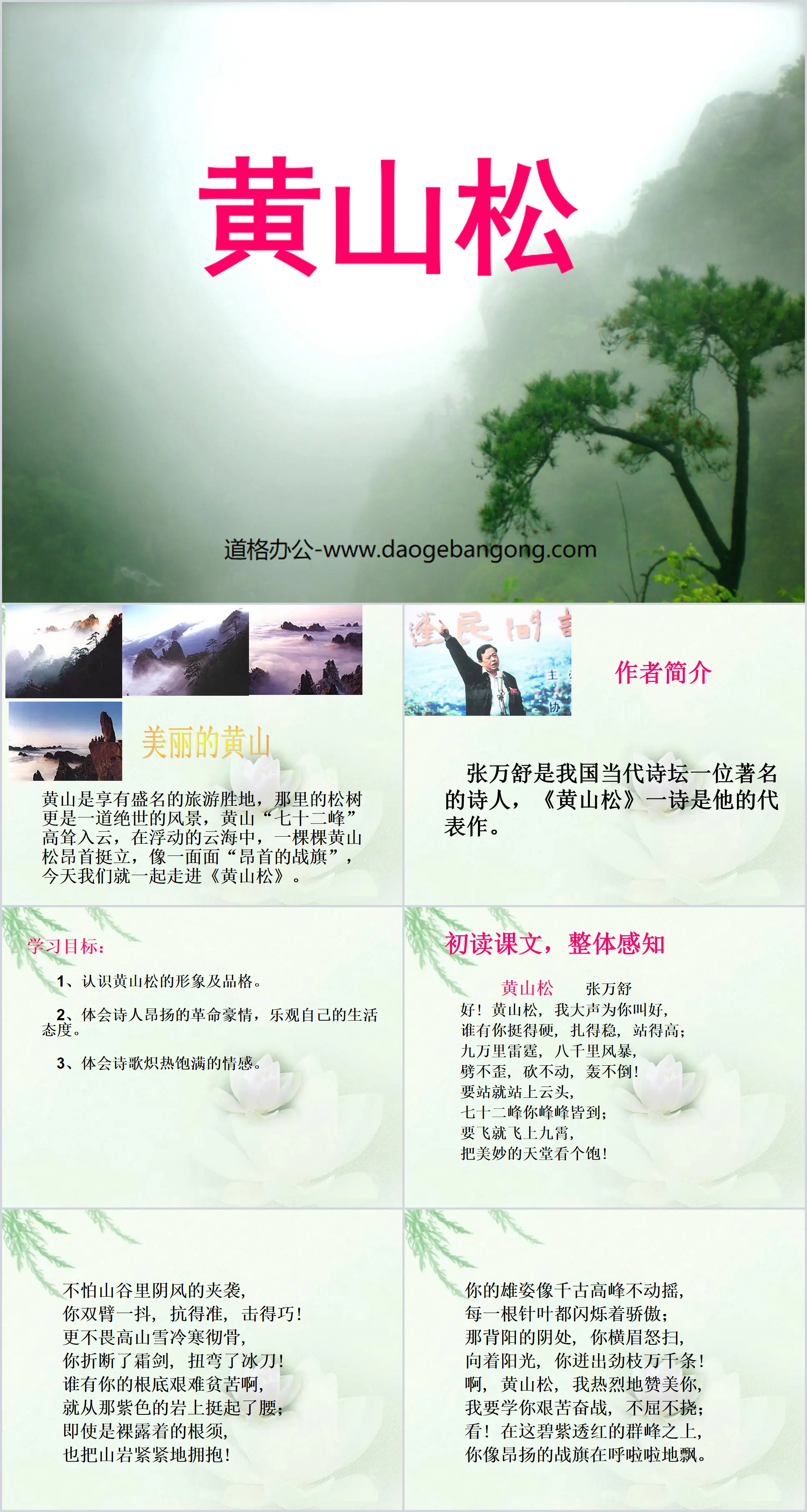 "Huangshan Pine" PPT courseware 2