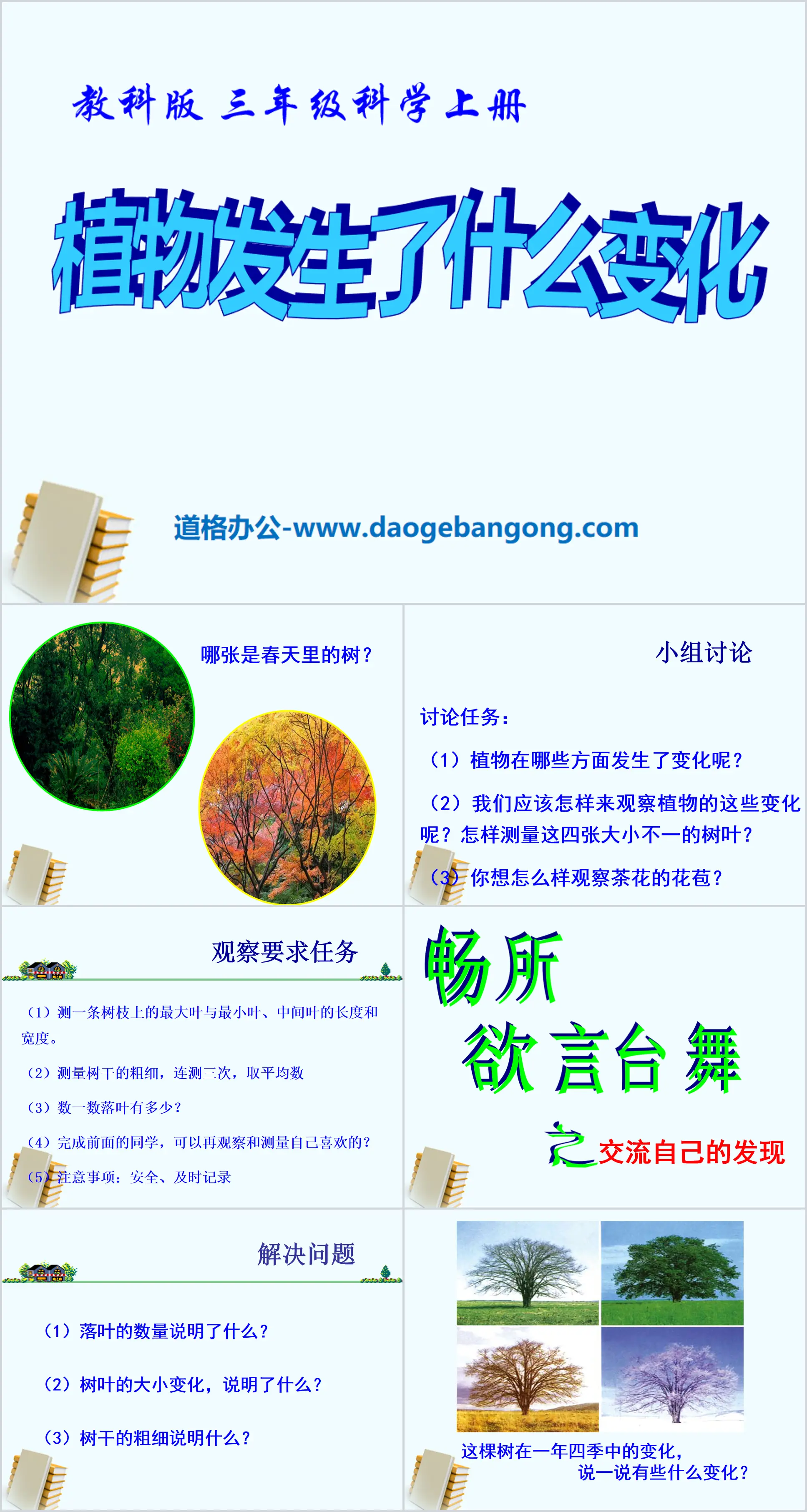 《植物发生了什么变化》植物PPT课件2
