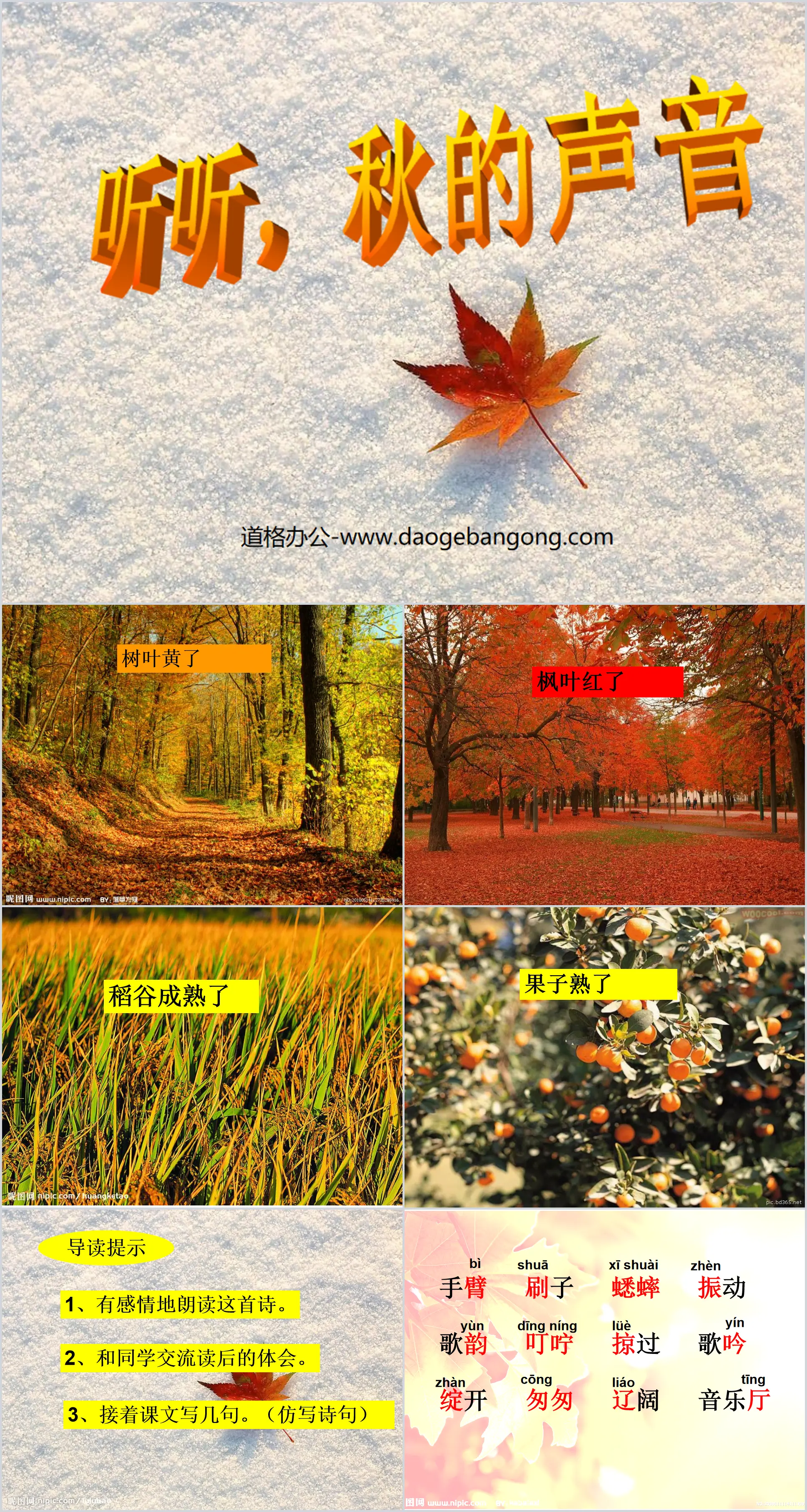 "Listen to the Voice of Autumn" PPT courseware