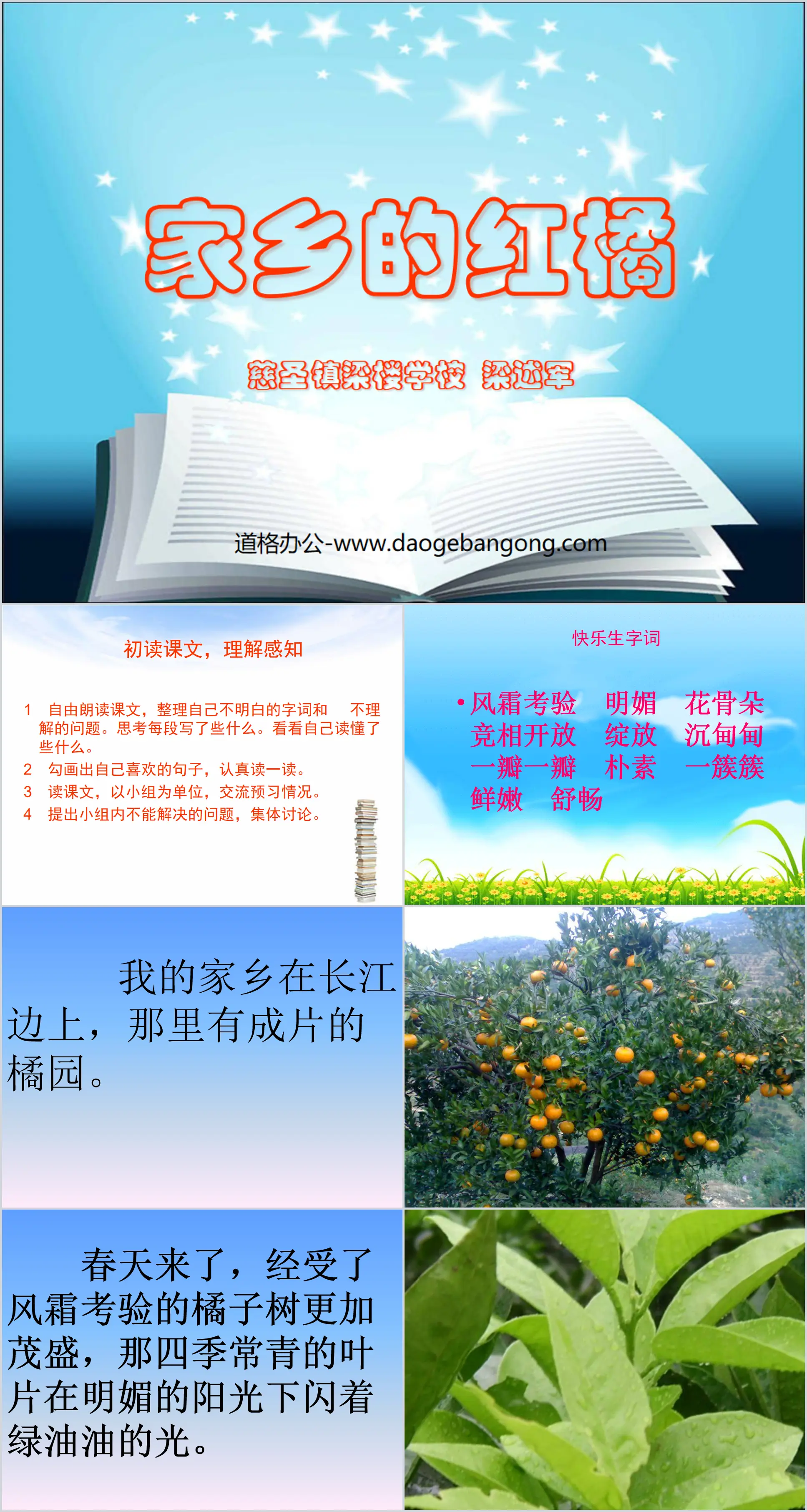 《家乡的红橘》PPT课件