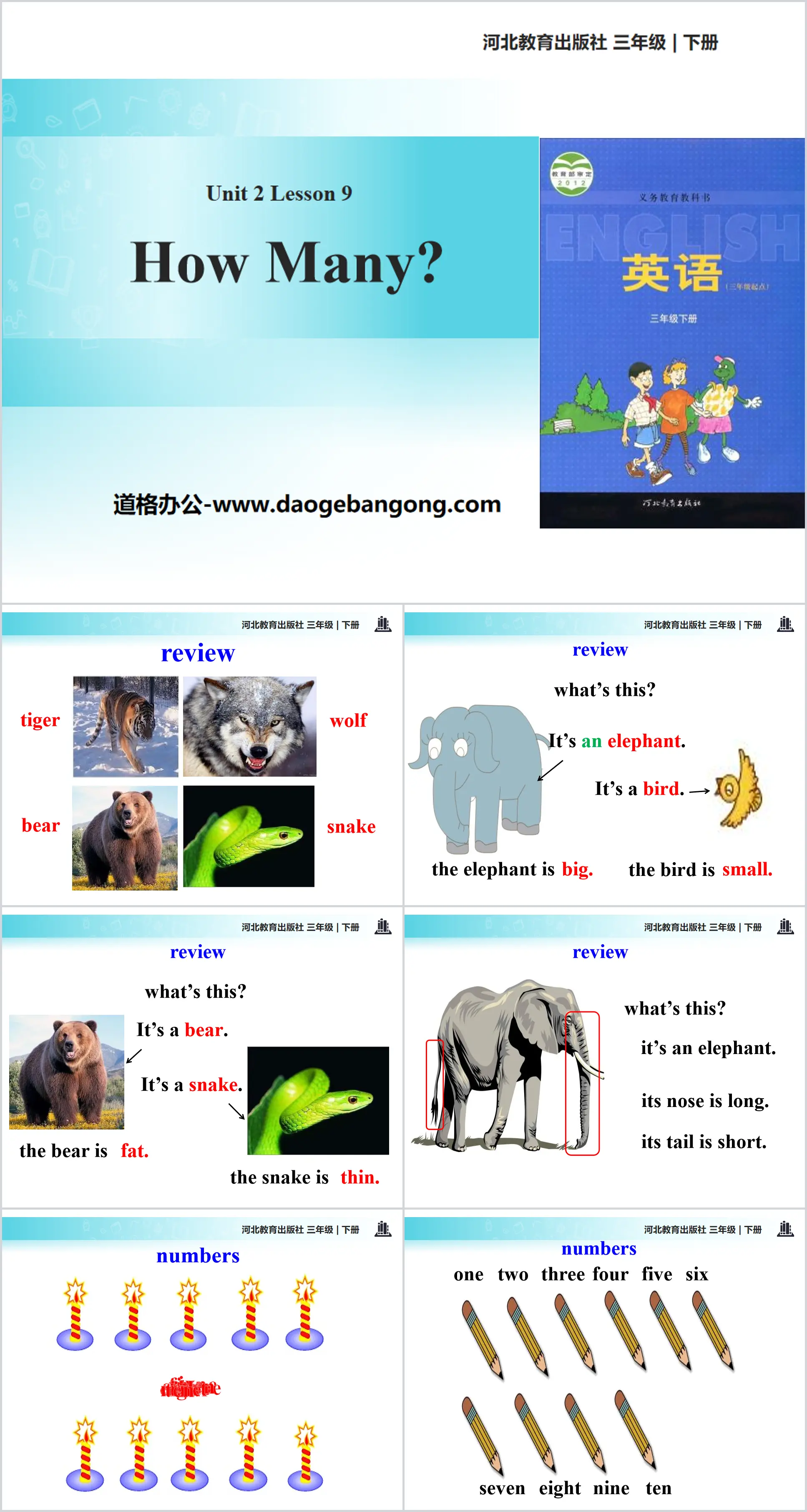 《How many?》Animals at the zoo PPT