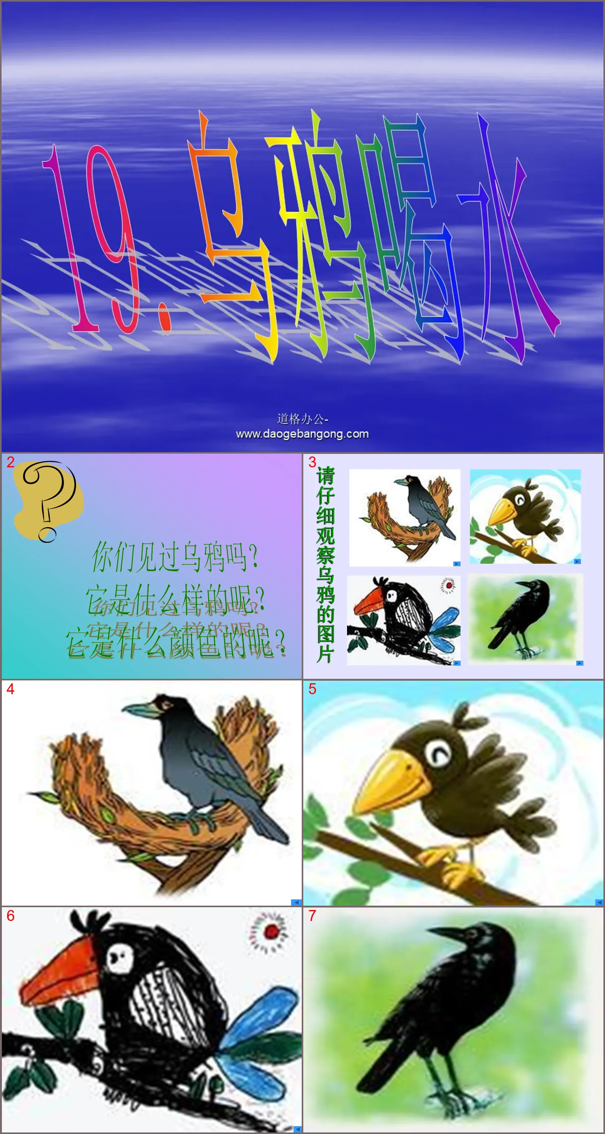 "Crow Drinks Water" PPT Courseware 4