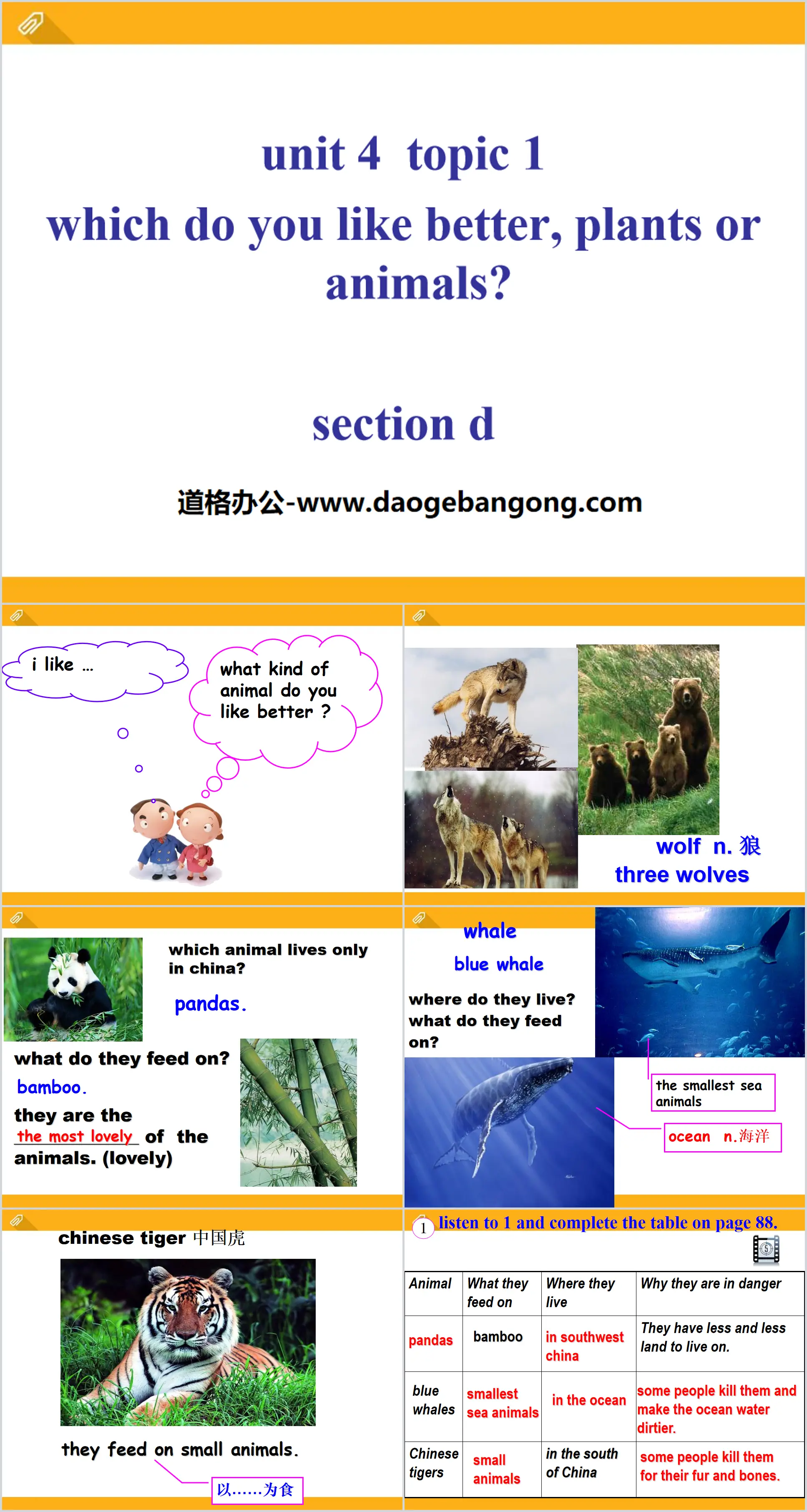 "Which do you like betterplants or animals?" SectionD PPT