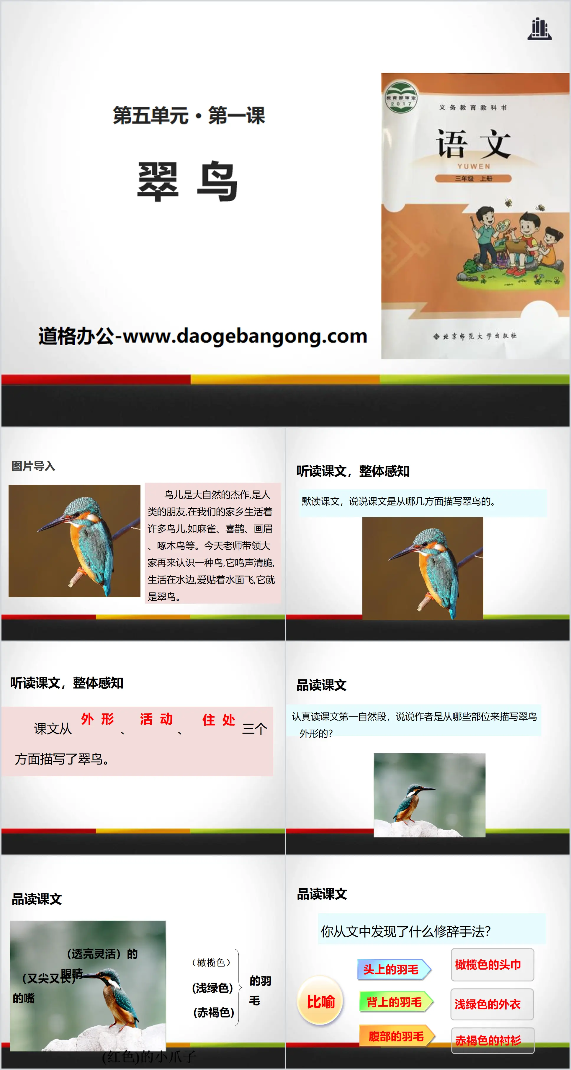 "Kingfisher" PPT