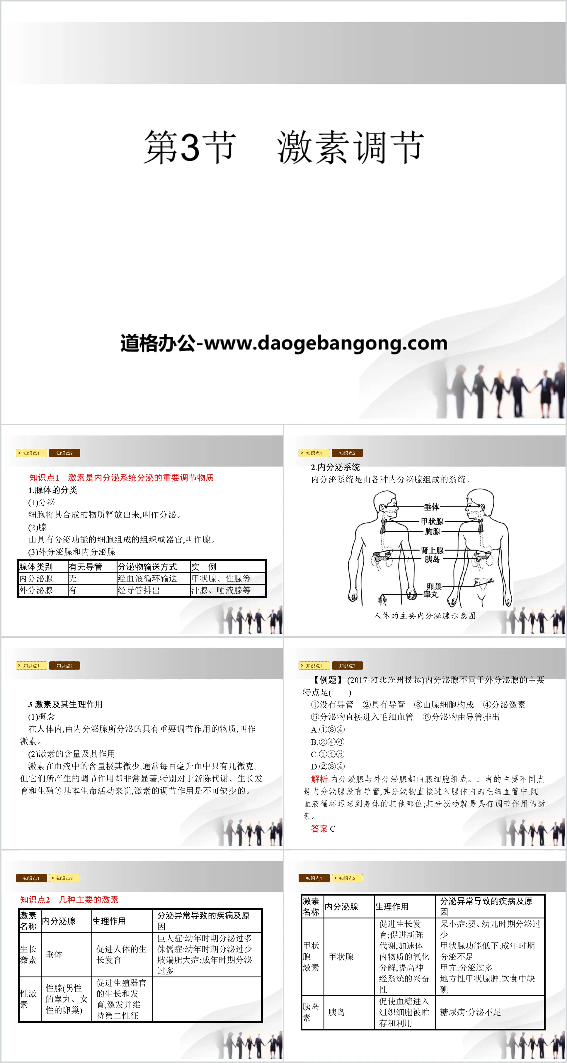 《激素调节》PPT下载
