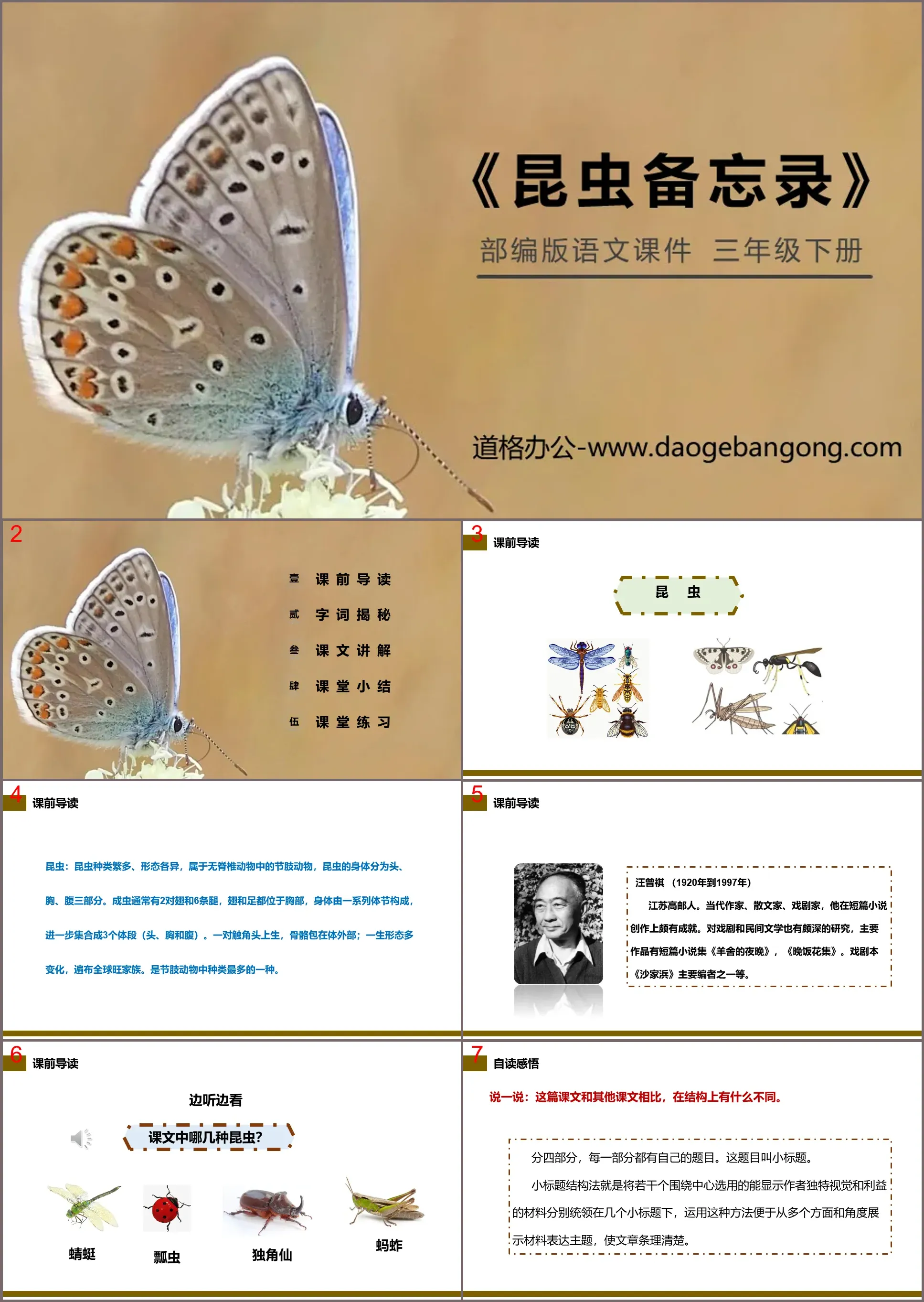 "Insect Memo" PPT courseware free download