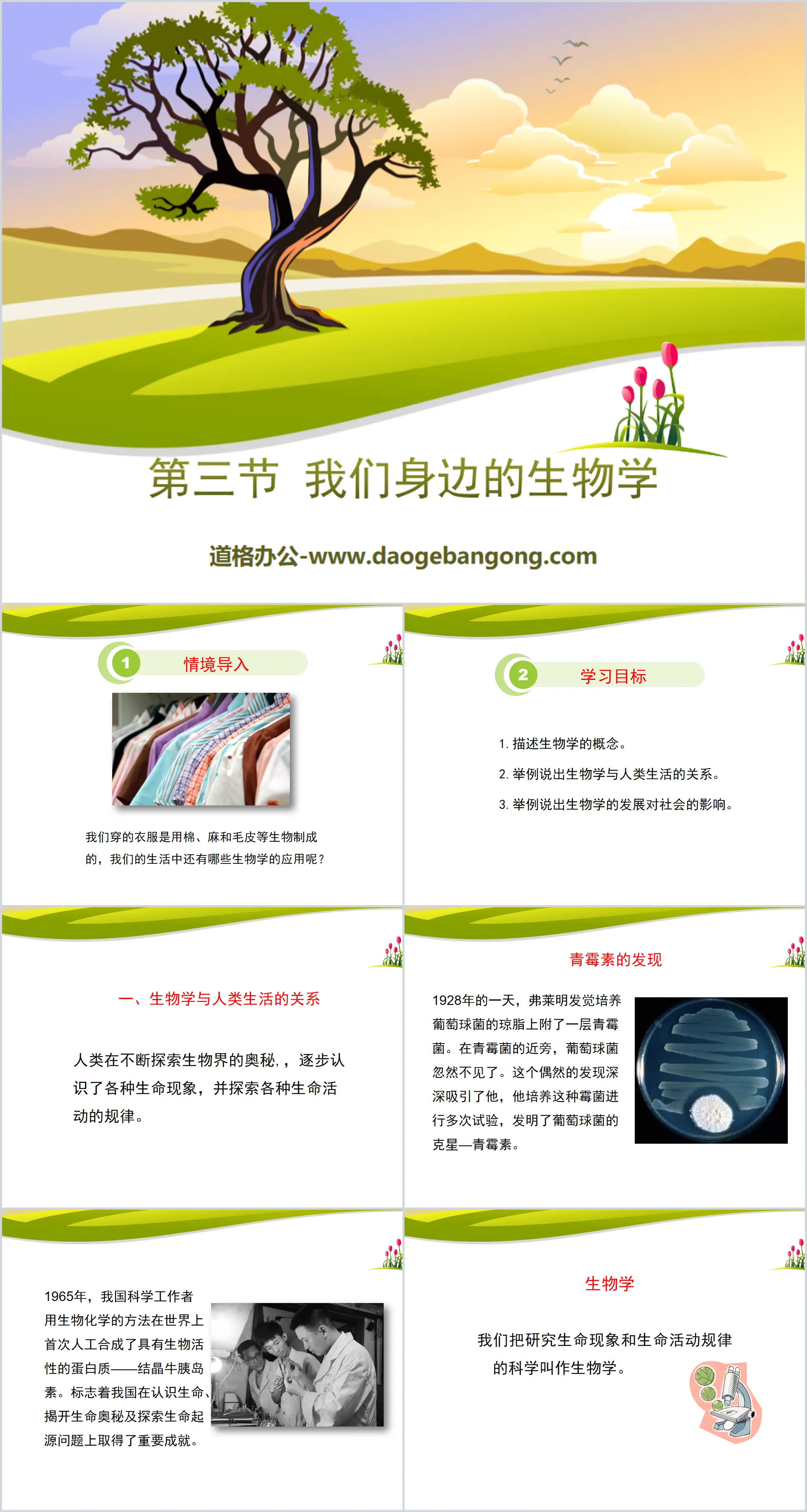 《我们身边的生物学》PPT课件