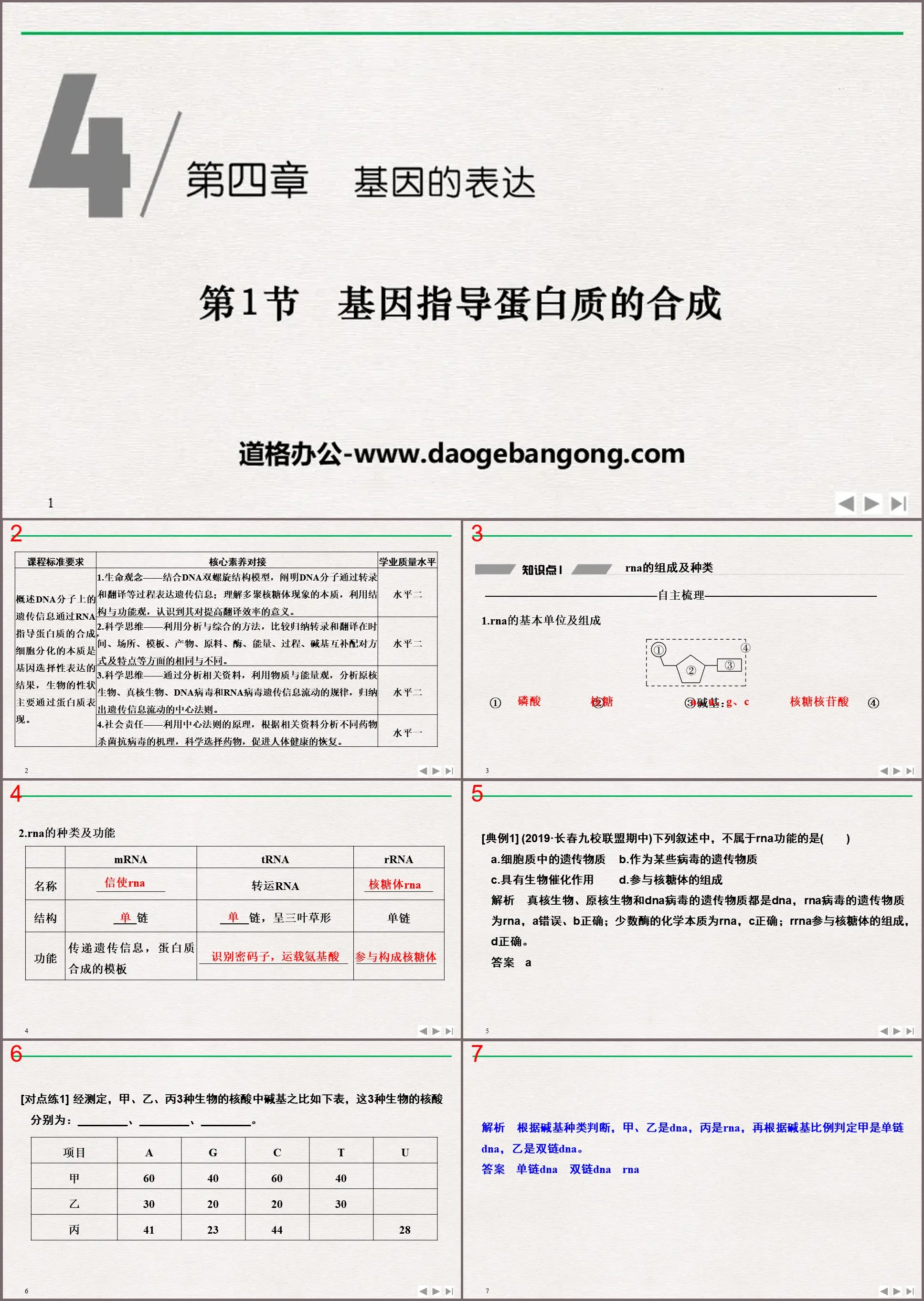 《基因指导蛋白质的合成》基因的表达PPT课件