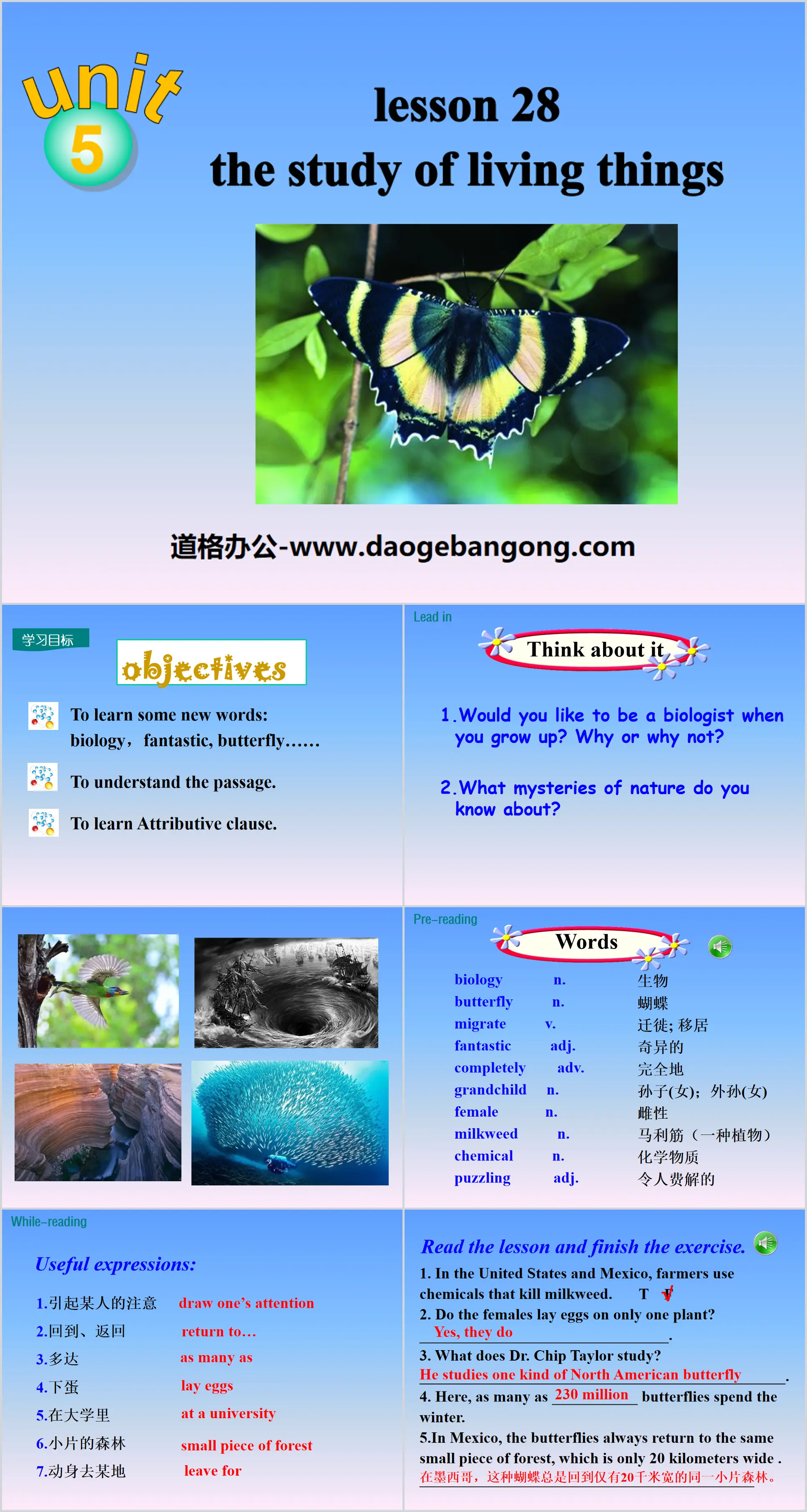 "The Study of Living Things" Look into Science! PPT courseware