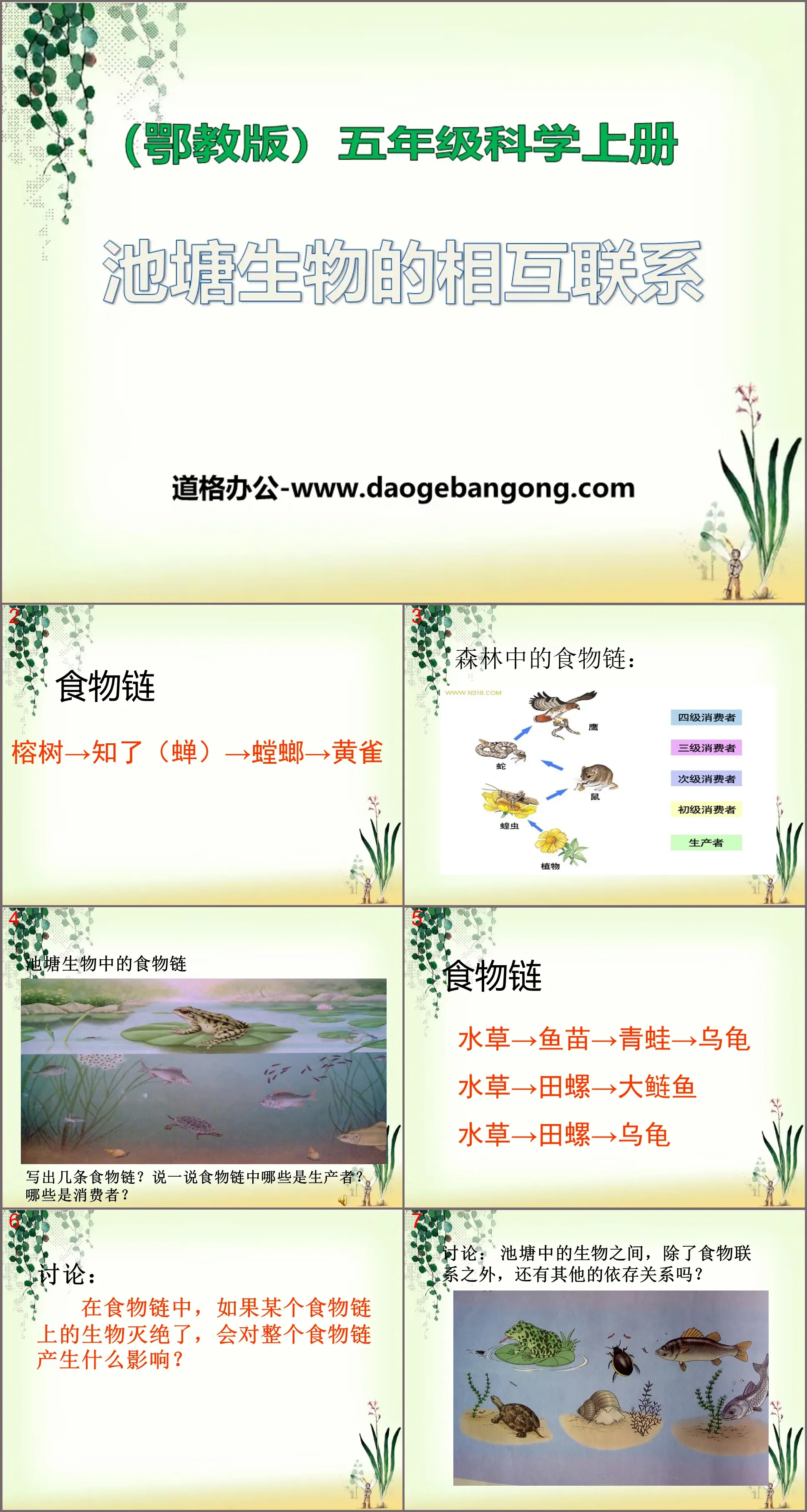 "Interconnection of Pond Organisms" Pond Community PPT Courseware