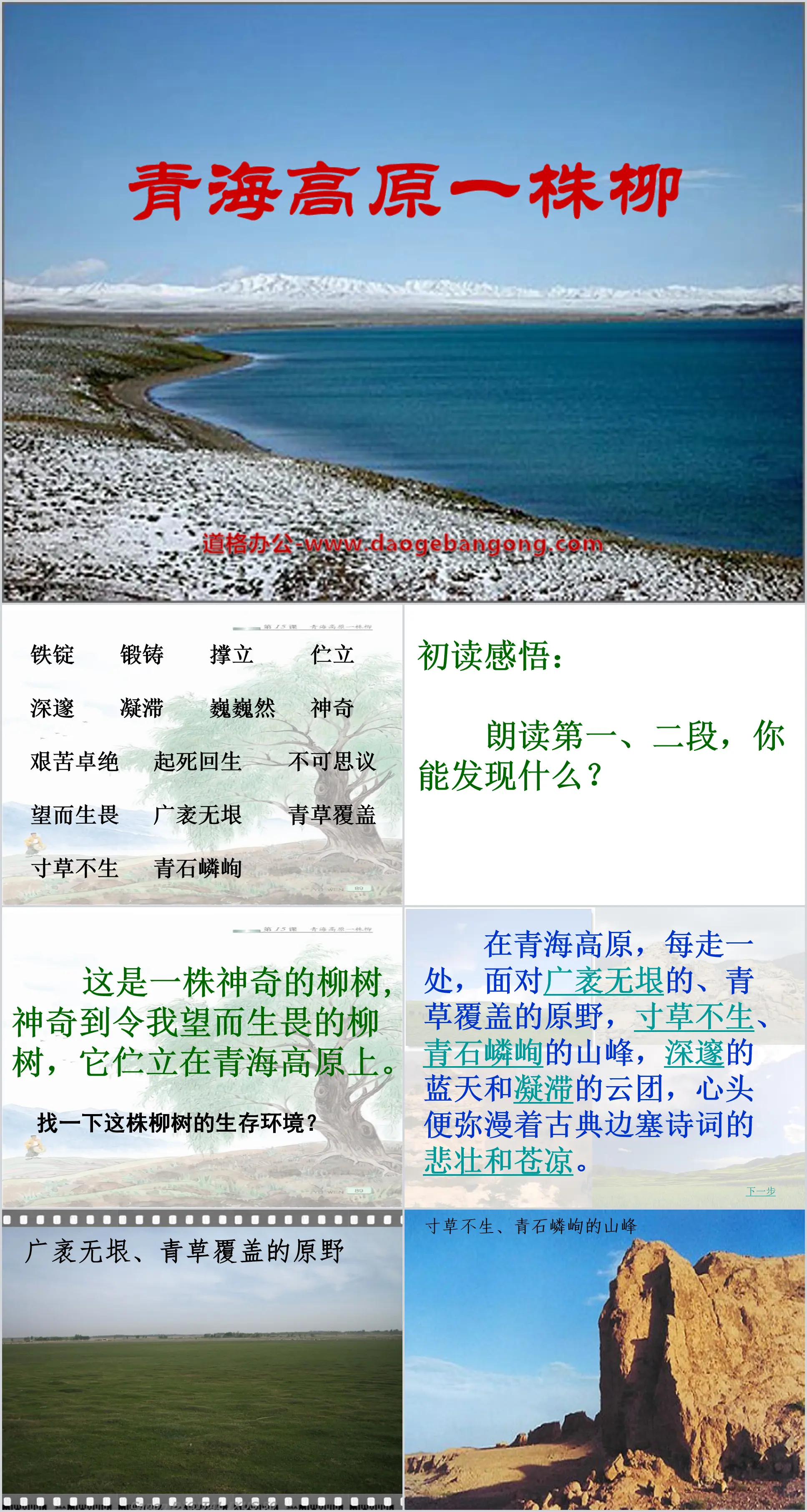 "Un saule sur le plateau du Qinghai" Didacticiel PPT 3