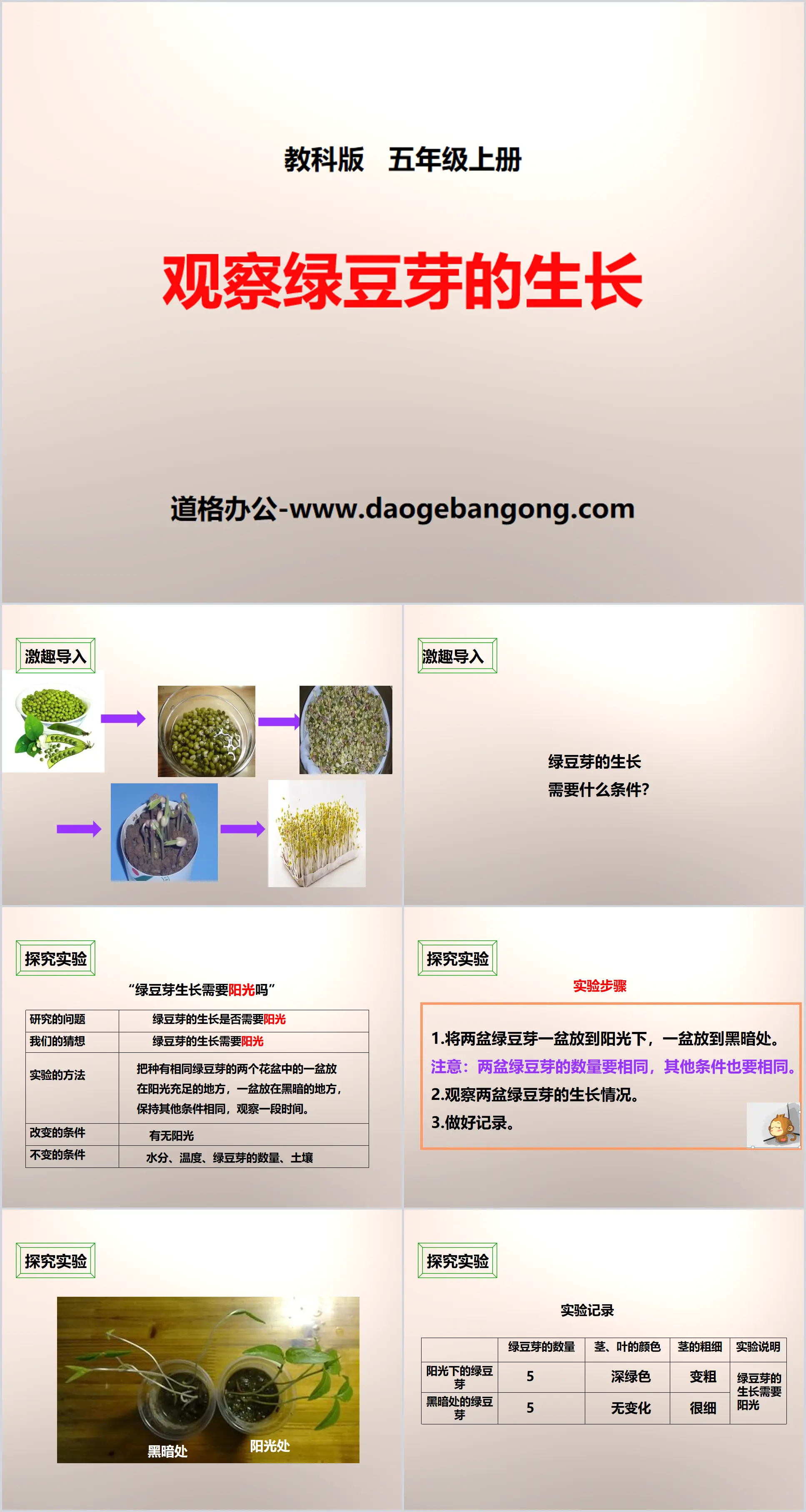 "Observing the Growth of Mung Bean Sprouts" Biology and Environment PPT download