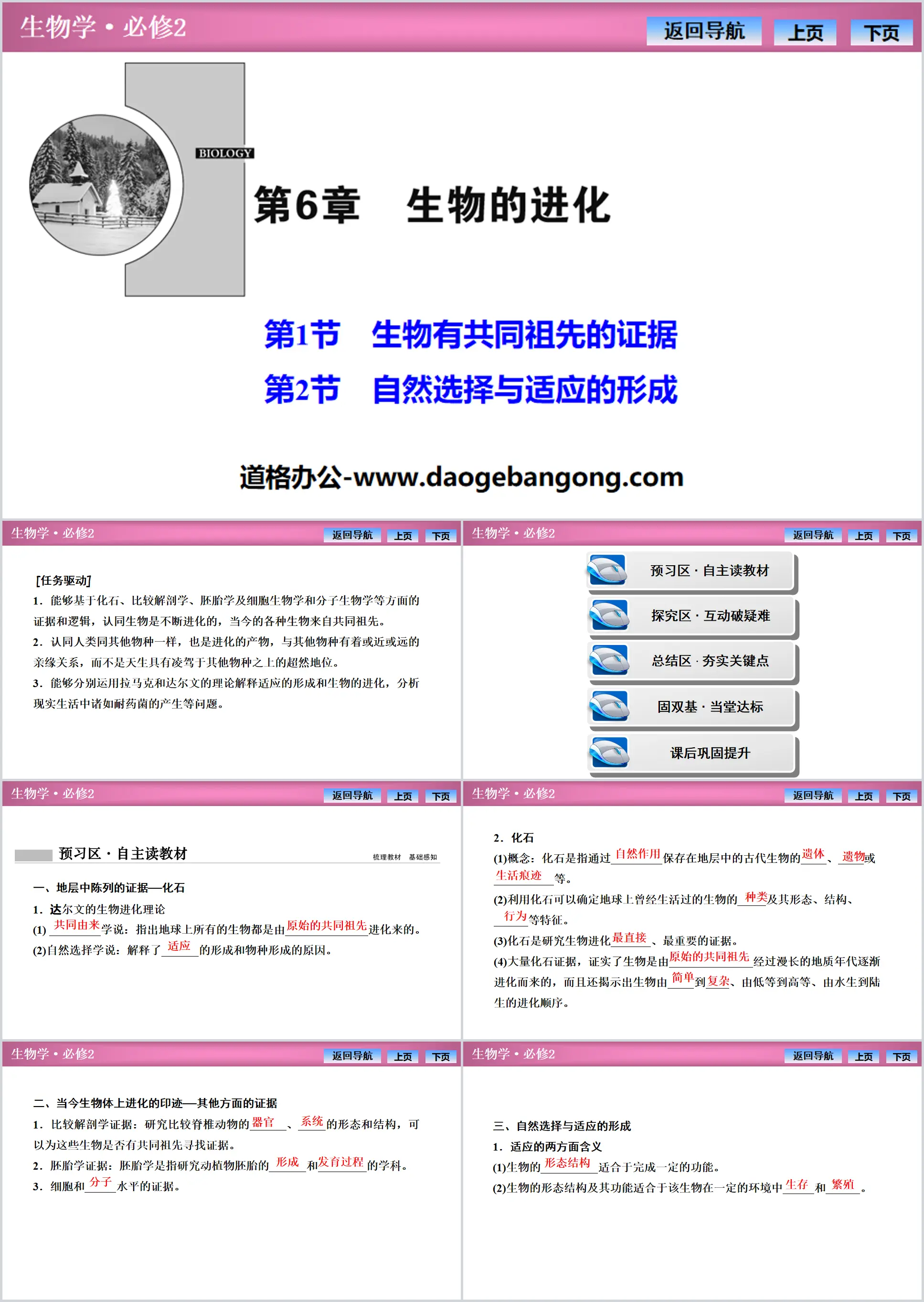 《生物有共同祖先的证据》《自然选择与适应的形成》生物的进化PPT下载