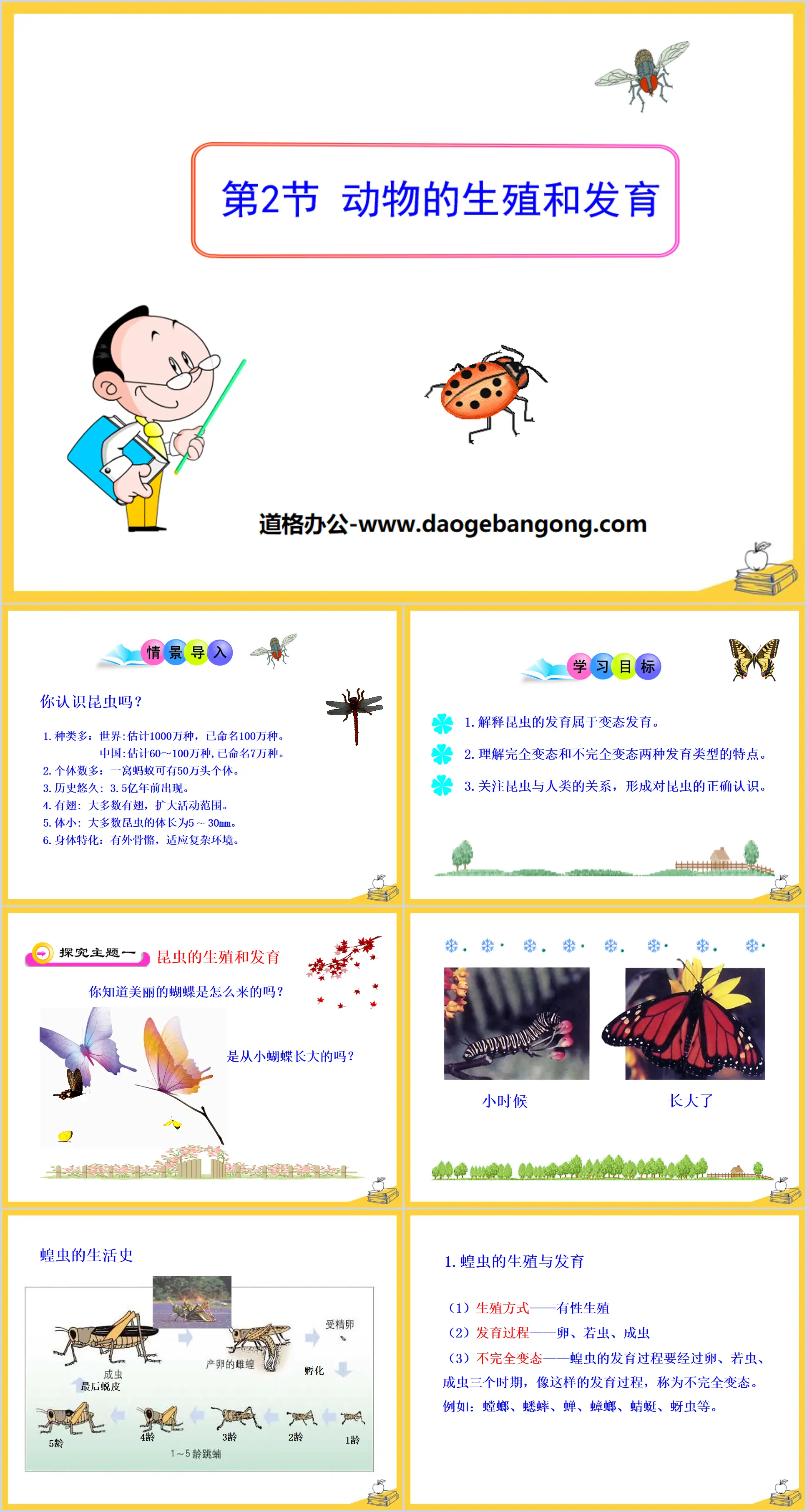 《動物的生殖與發育》PPT