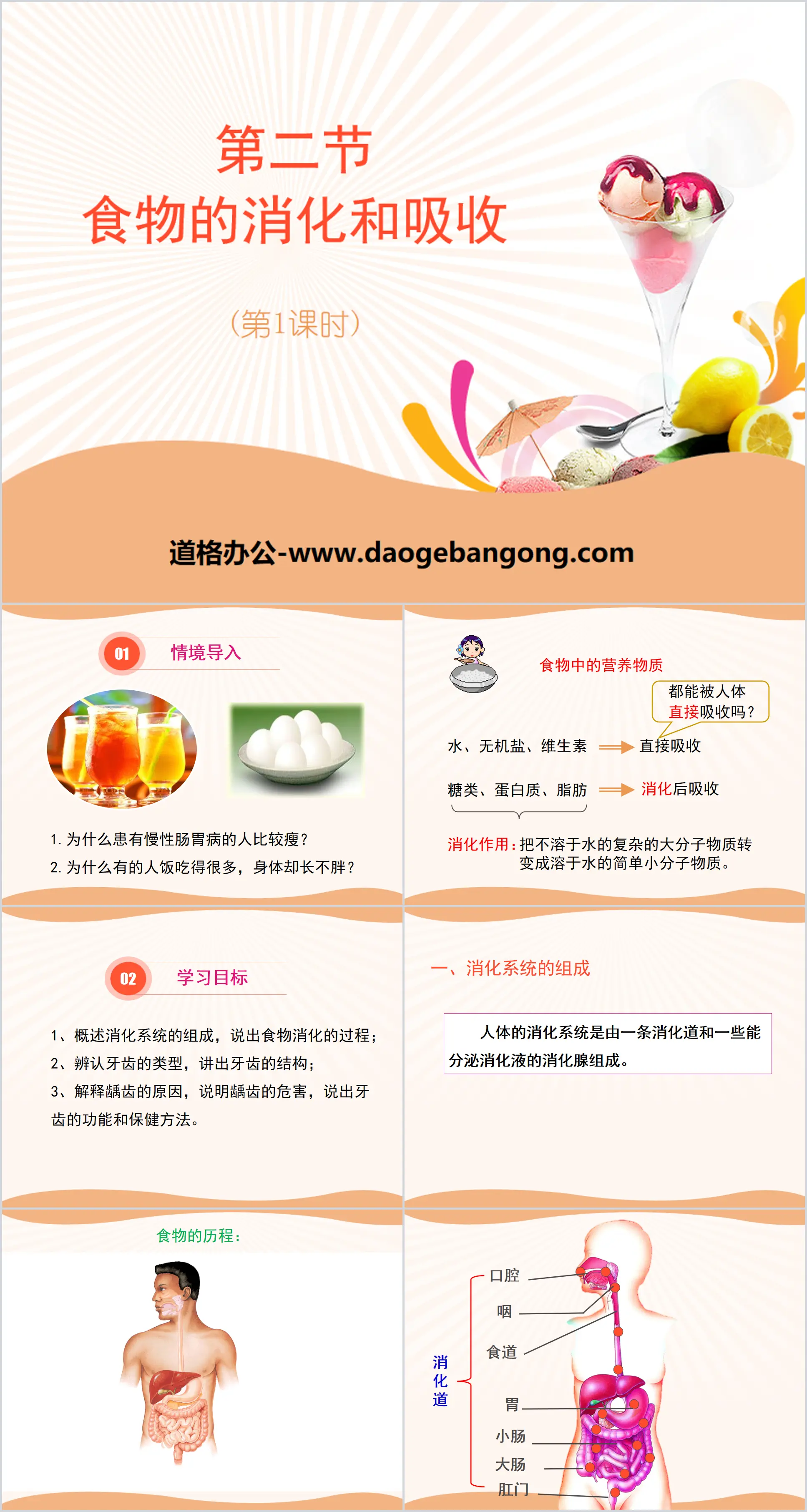 《食物的消化与吸收》PPT(第一课时)
