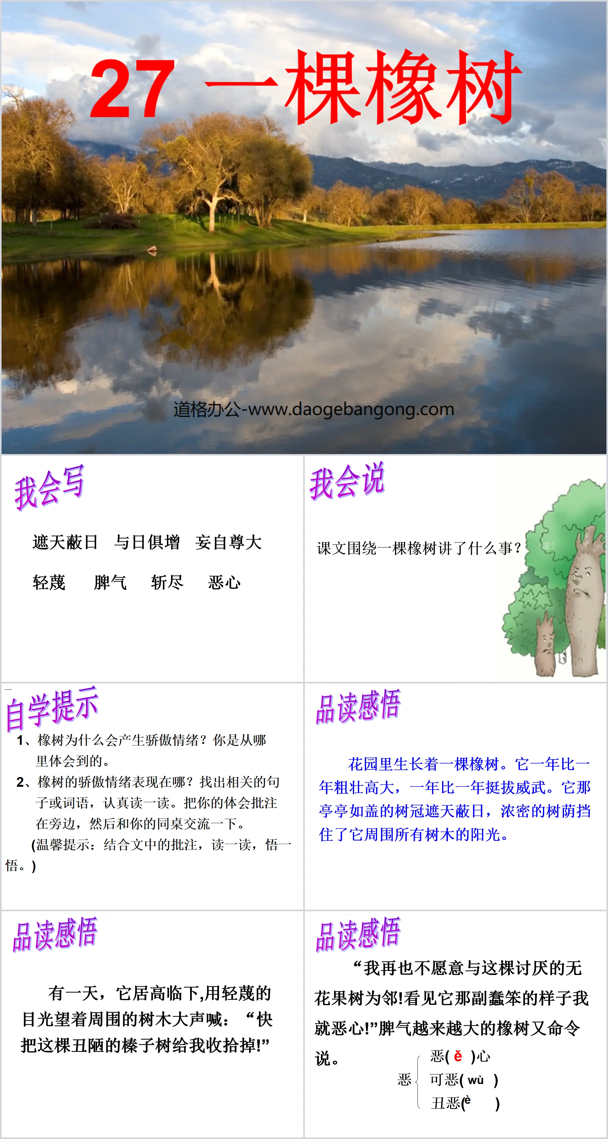 《一棵橡树》PPT课件3
