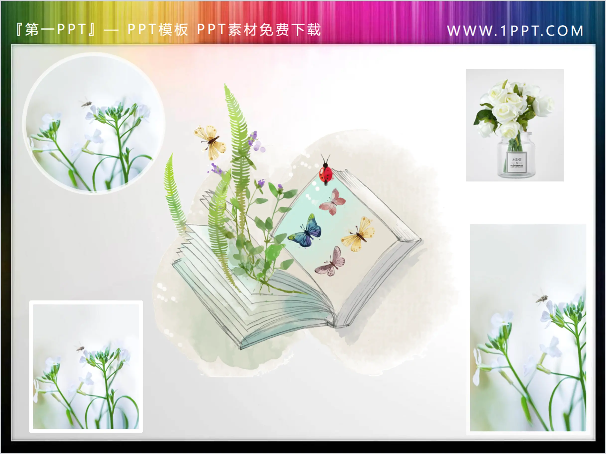 Fresh green plant book butterfly PPT illustration