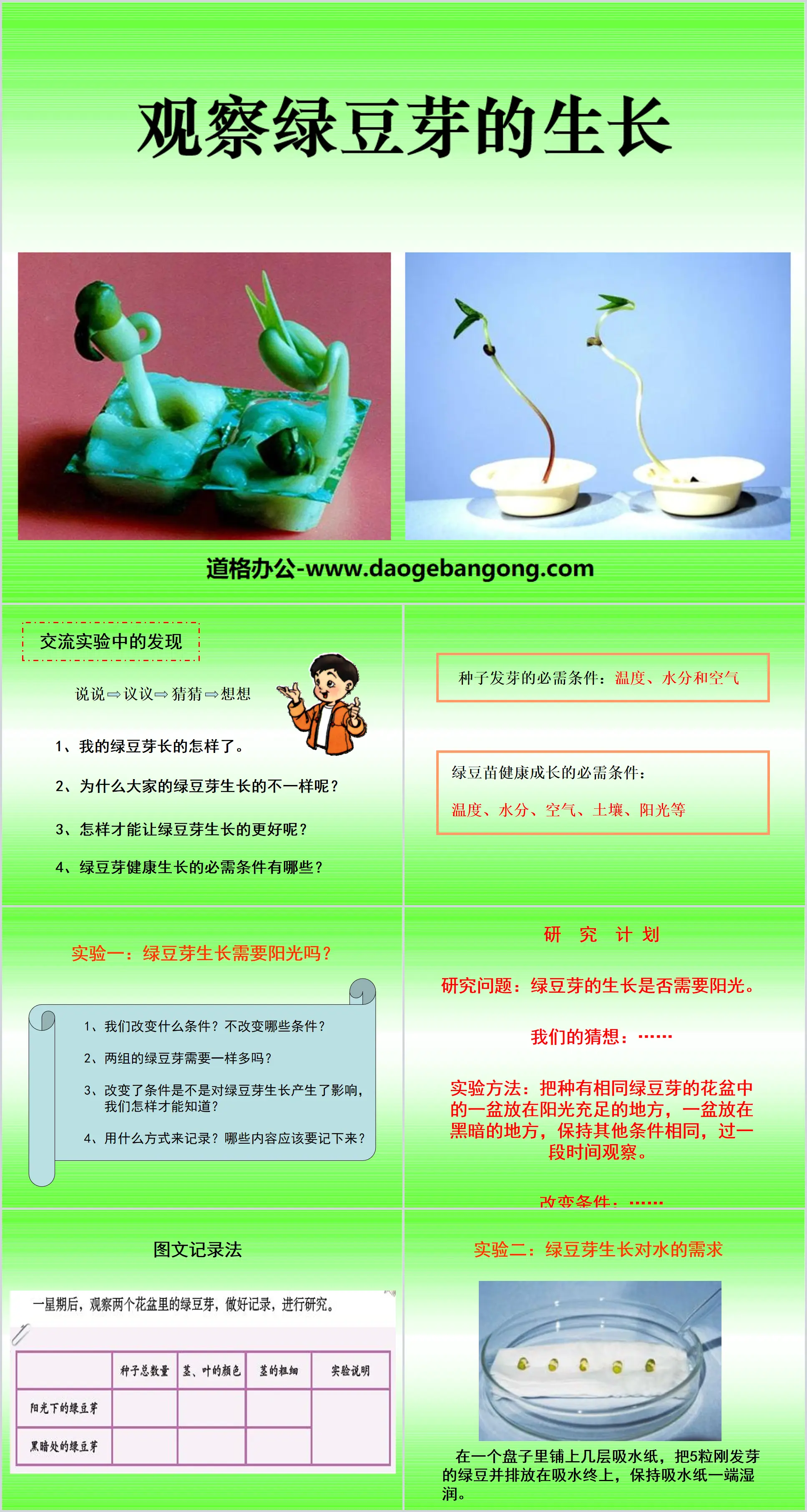 《觀察綠豆芽的生長》生物與環境PPT課件2