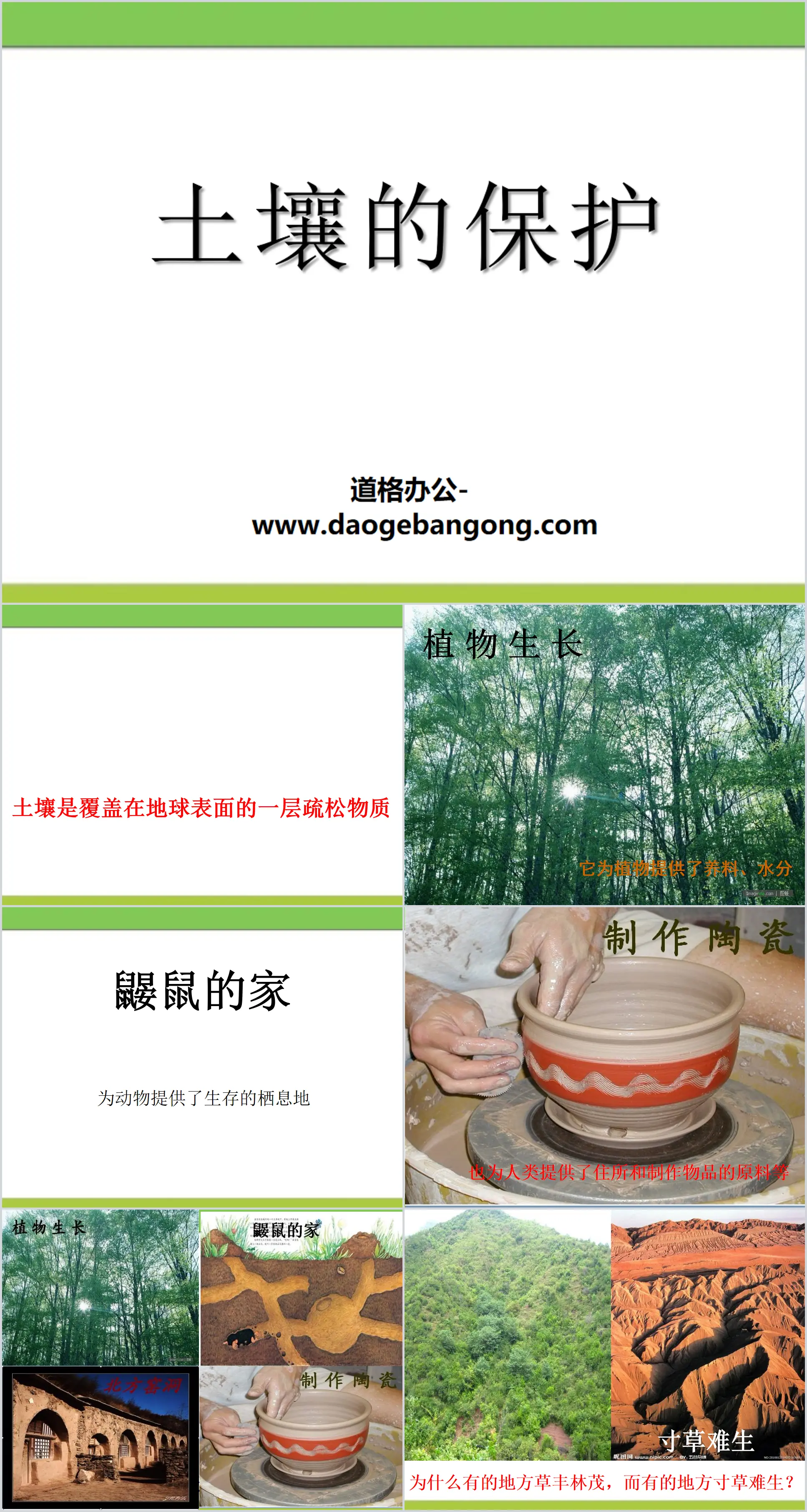 《土壤的保护》植物生活的土地PPT课件2
