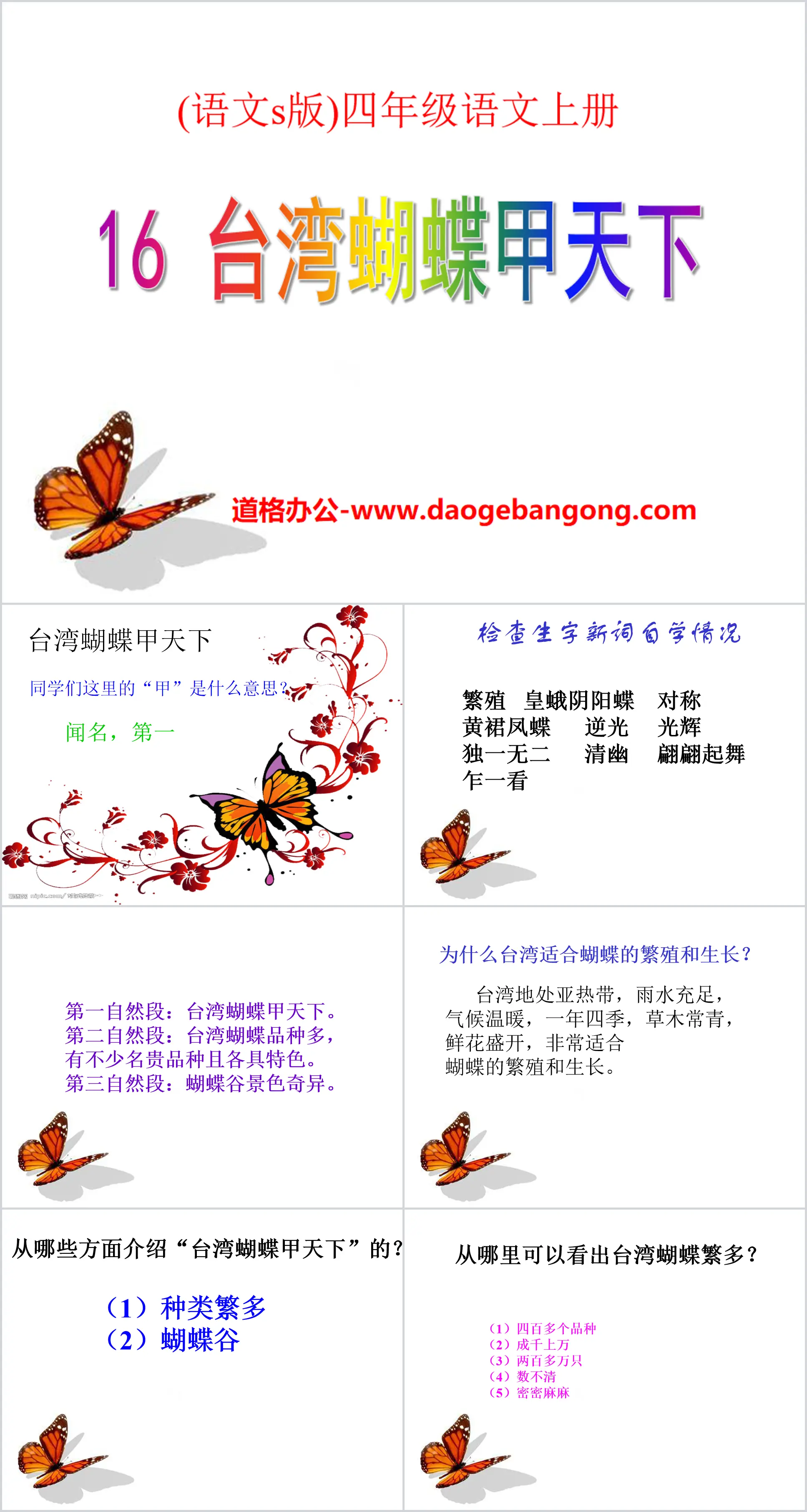 "Taiwan Butterfly is the Best in the World" PPT courseware 3