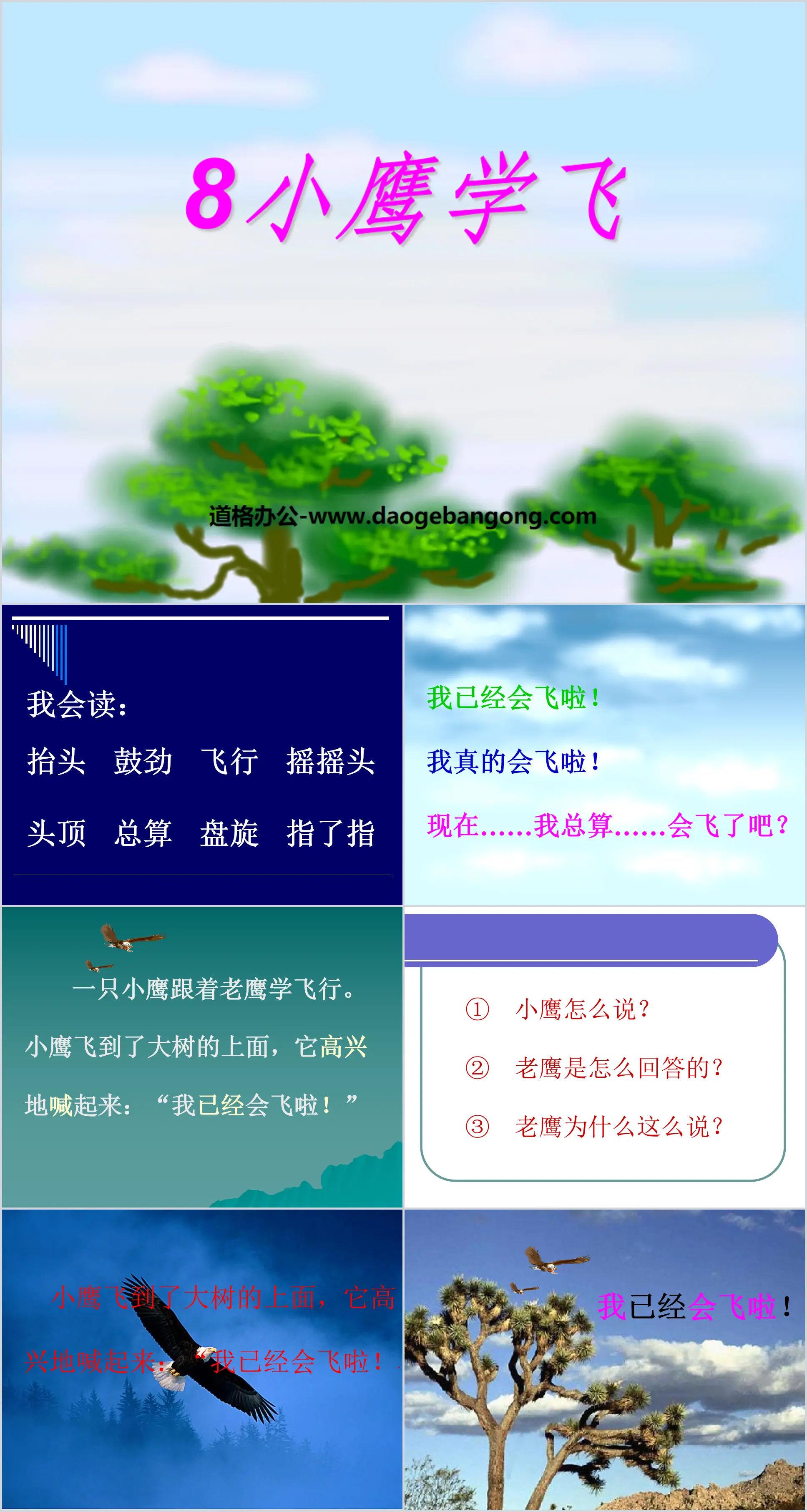 《小鹰学飞》PPT课件5
