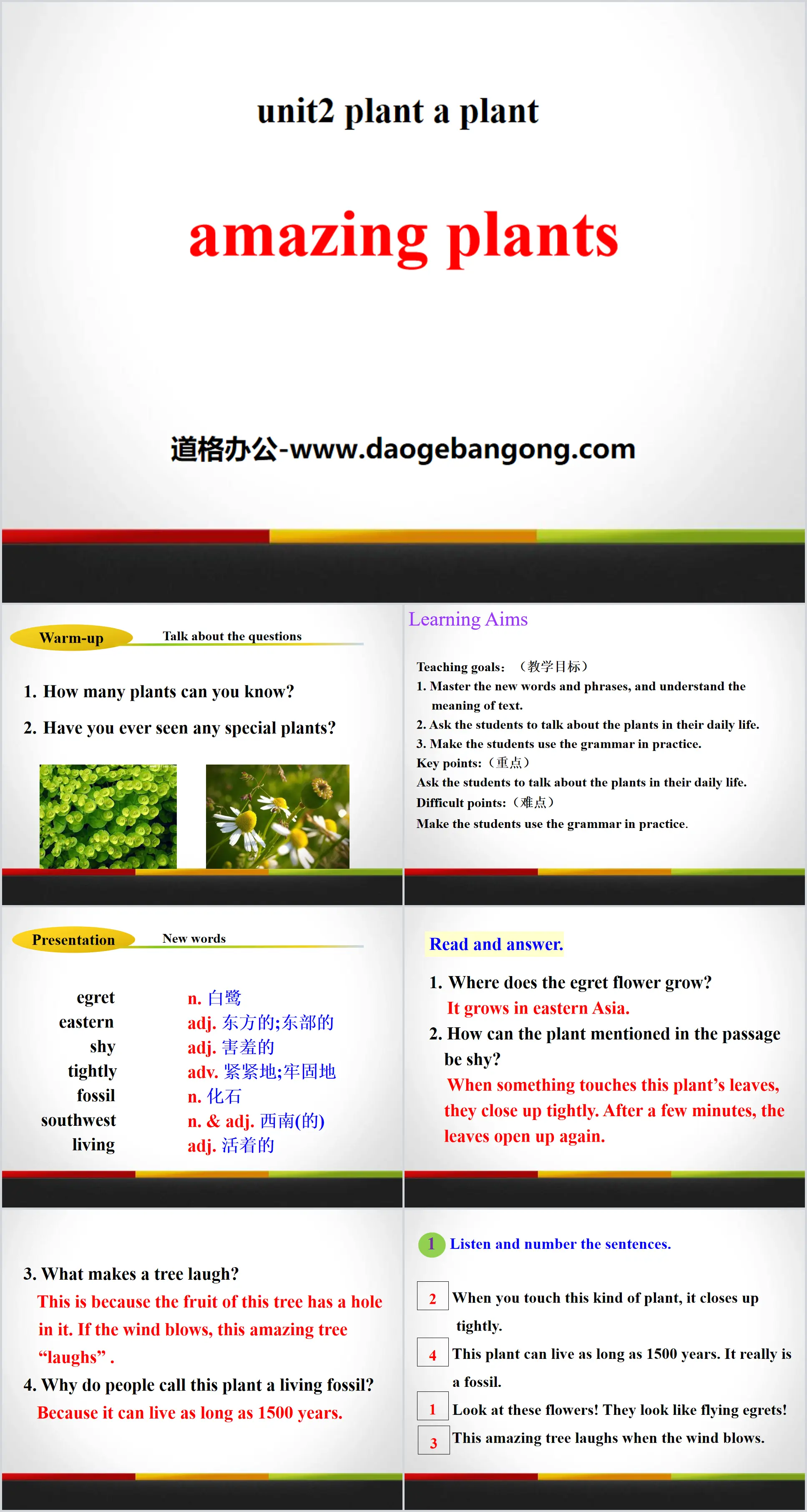 《Amazing Plants》Plant a Plant PPT
