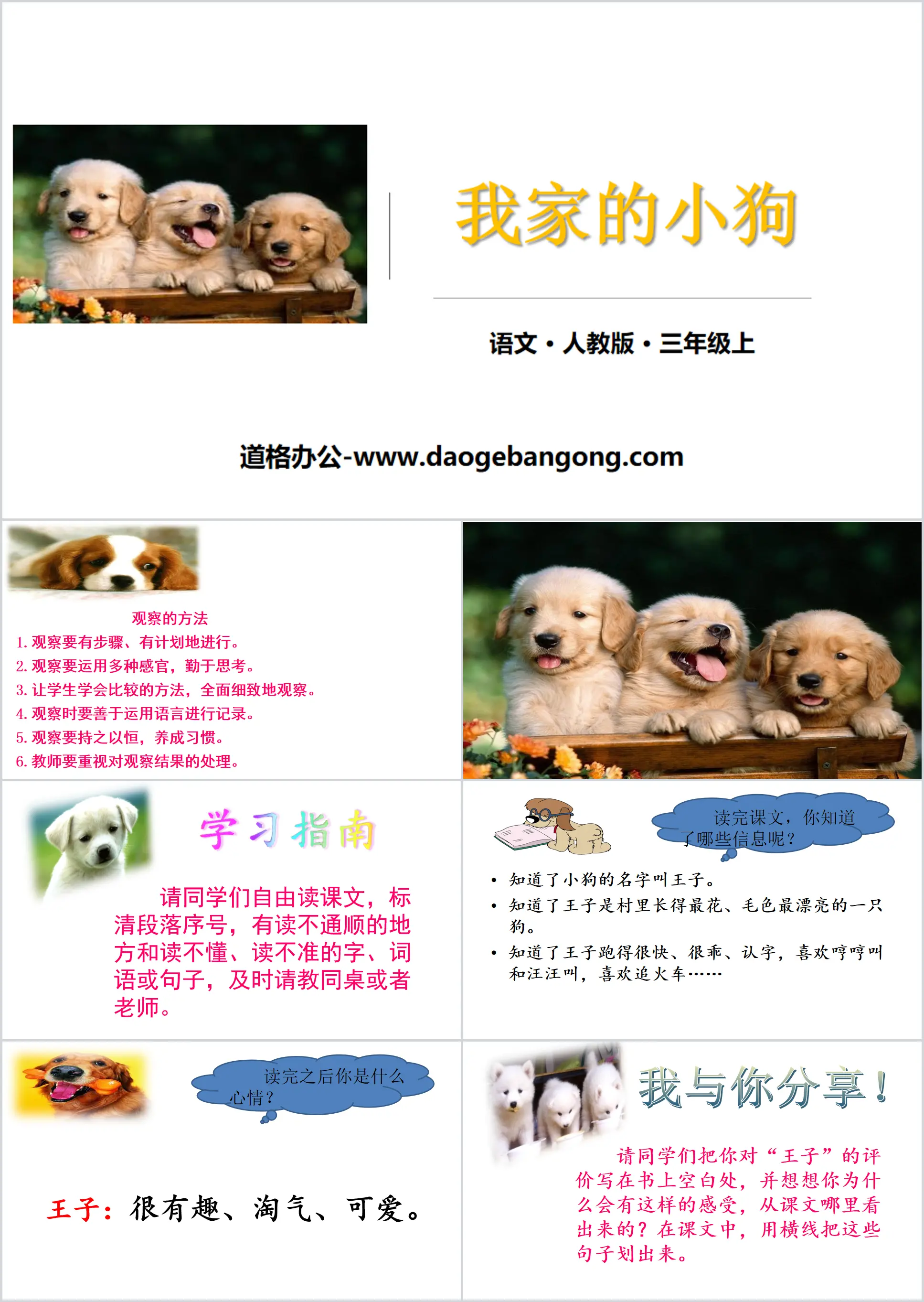 "My Puppy" PPT courseware