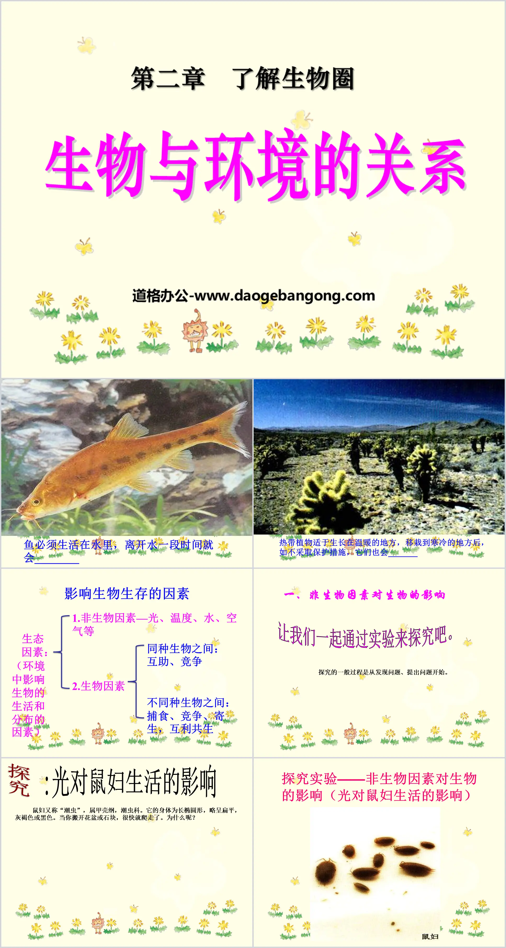 《生物与环境的关系》了解生物圈PPT课件4
