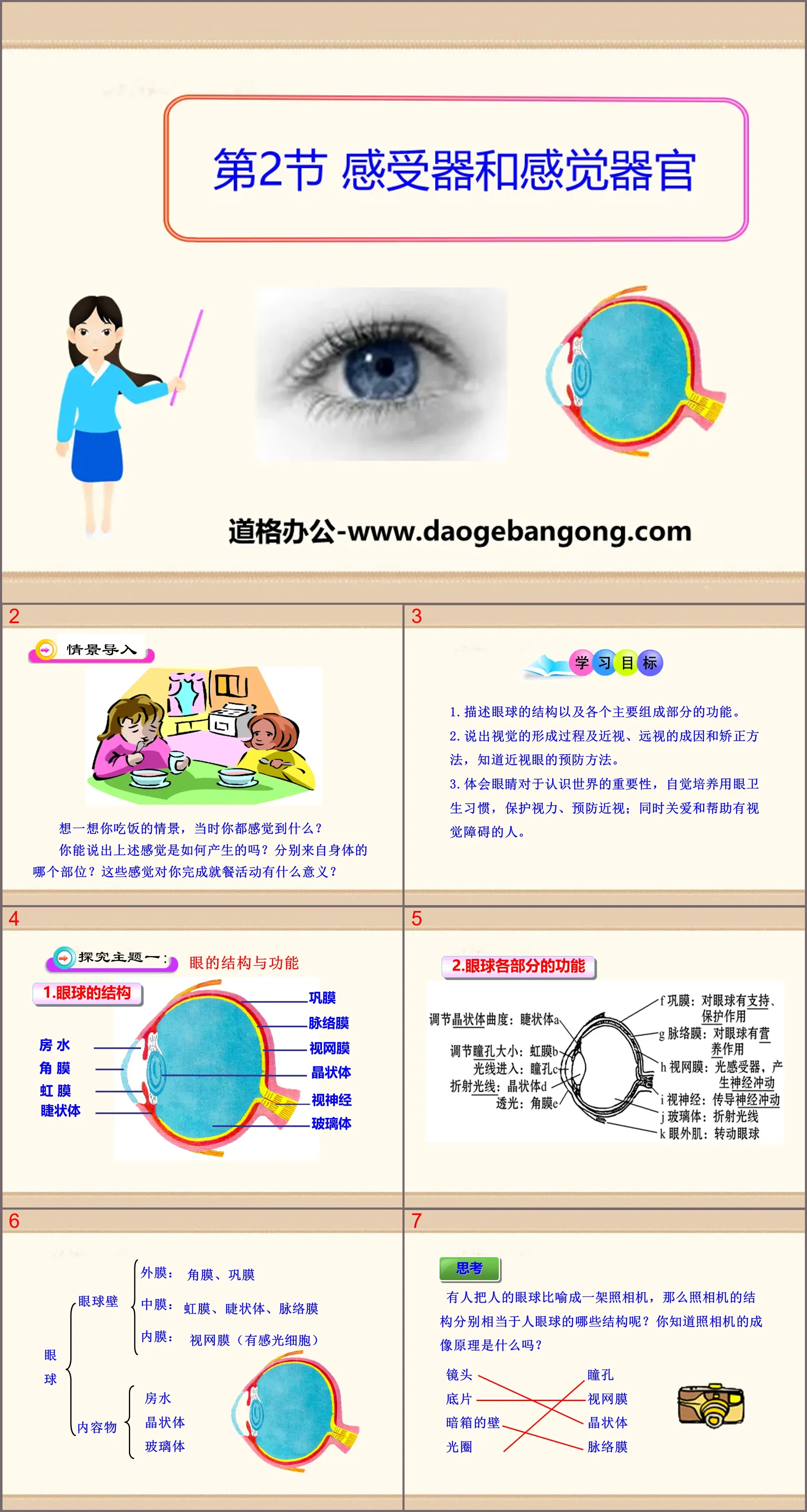 《感受器和感觉器官》PPT