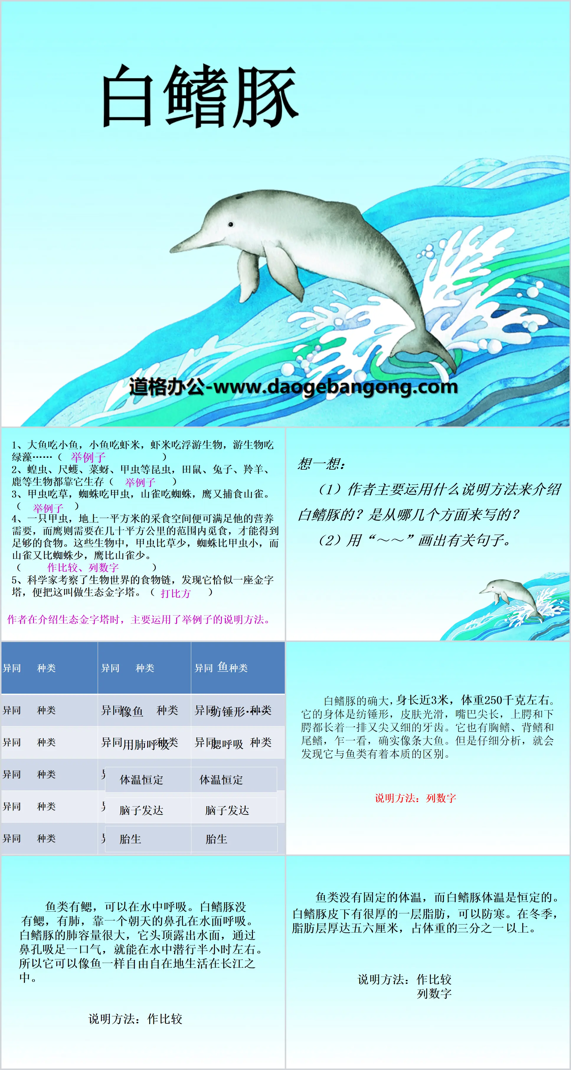 Didacticiel PPT « Baiji Dolphin » 3