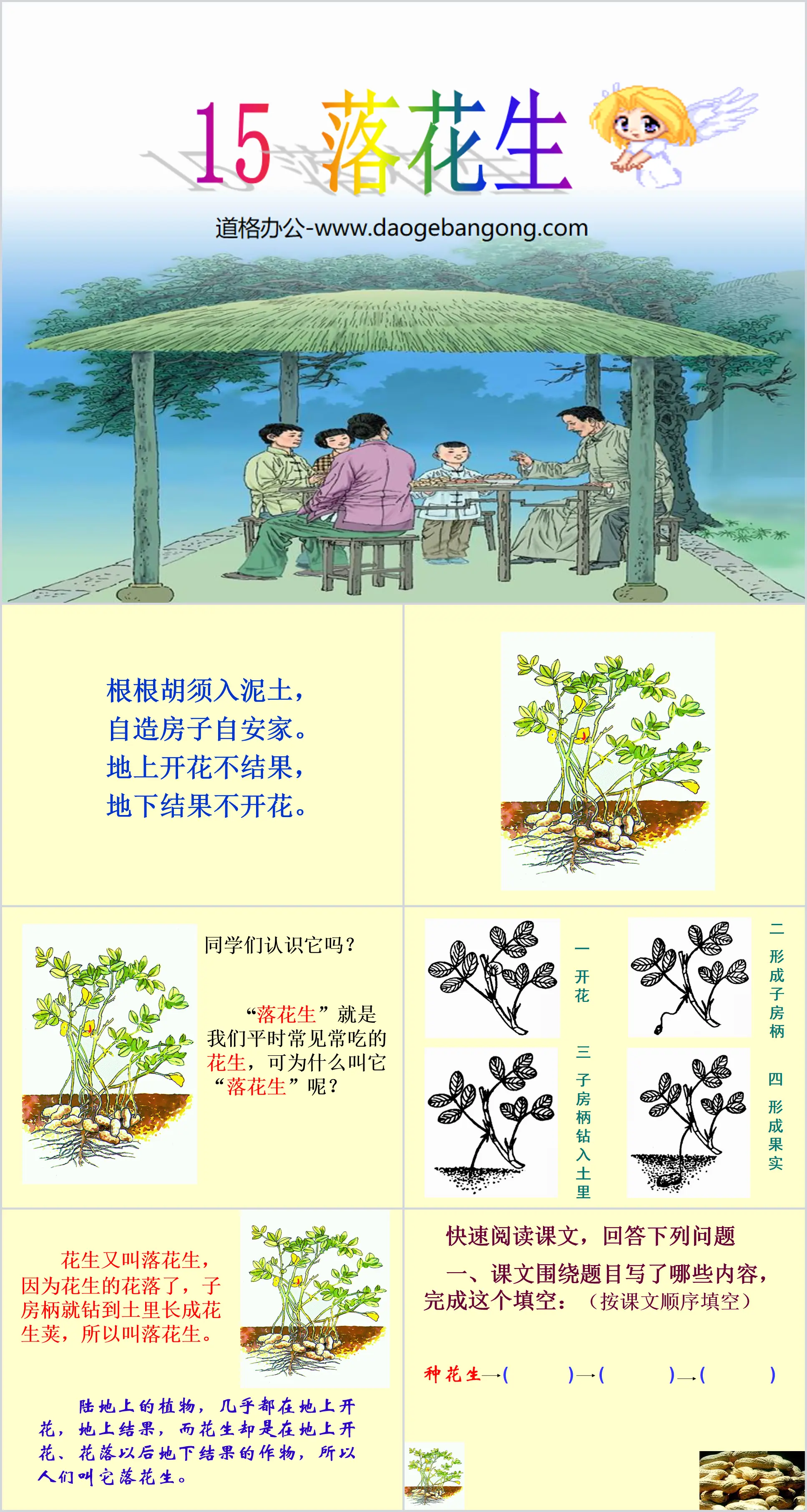 《落花生》PPT课件下载7