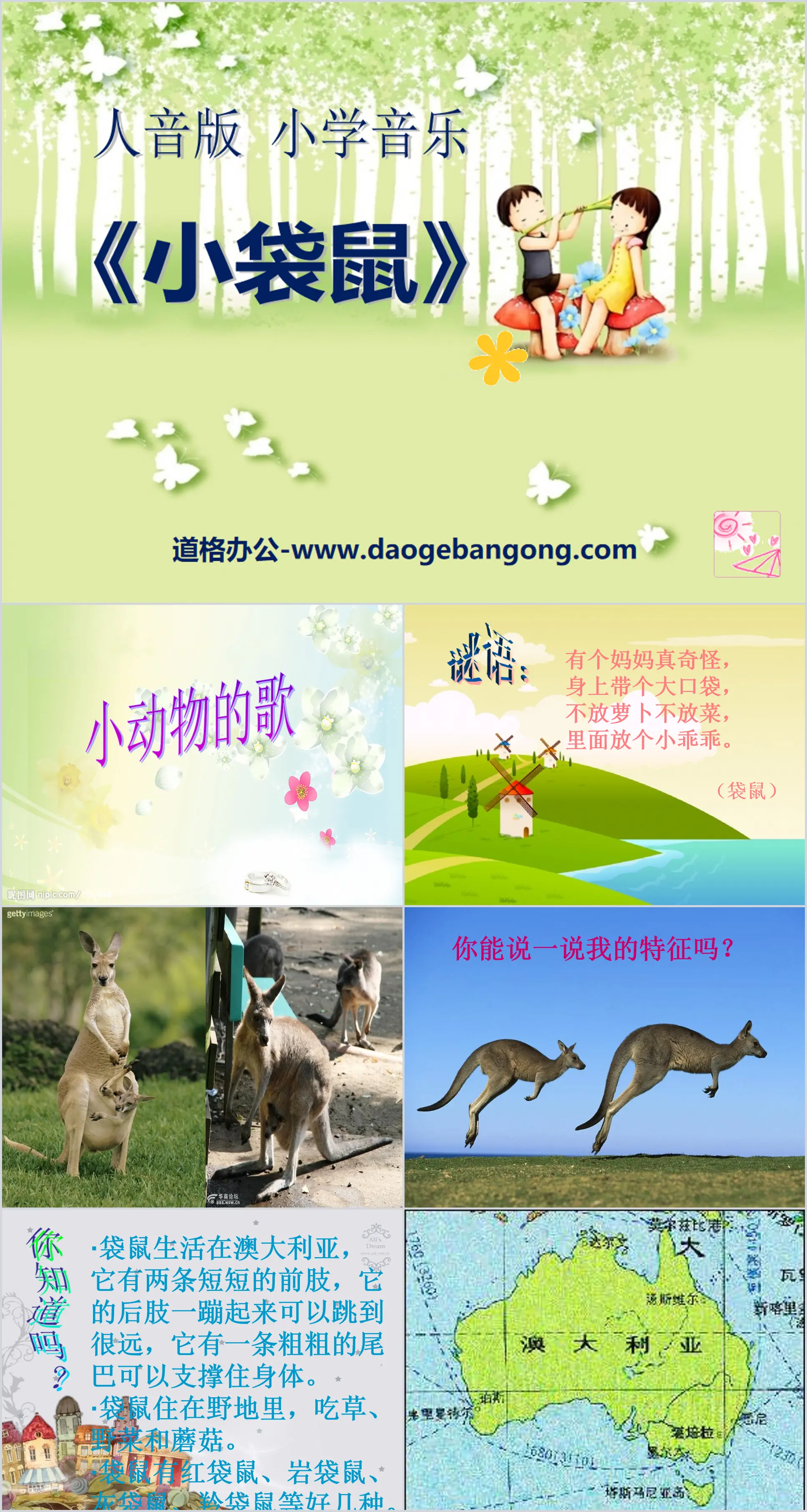 "Little Kangaroo" PPT courseware 3