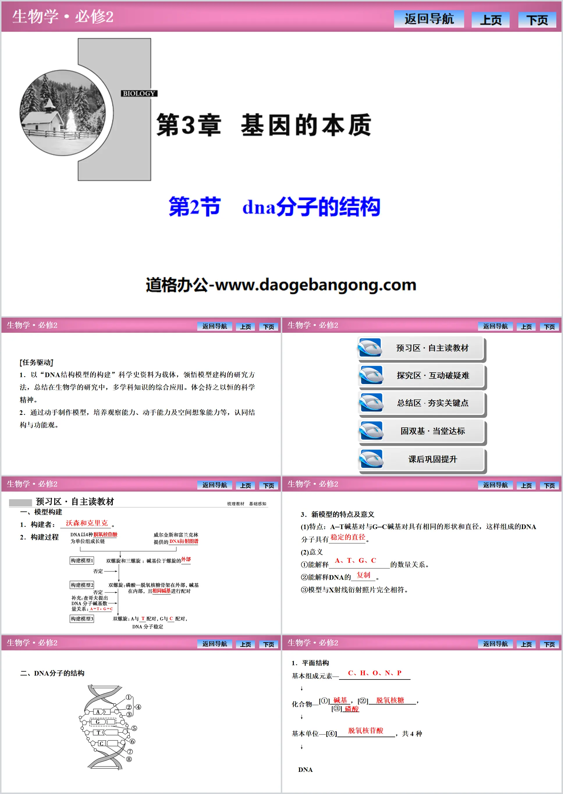 《DNA的结构》基因的本质PPT课件