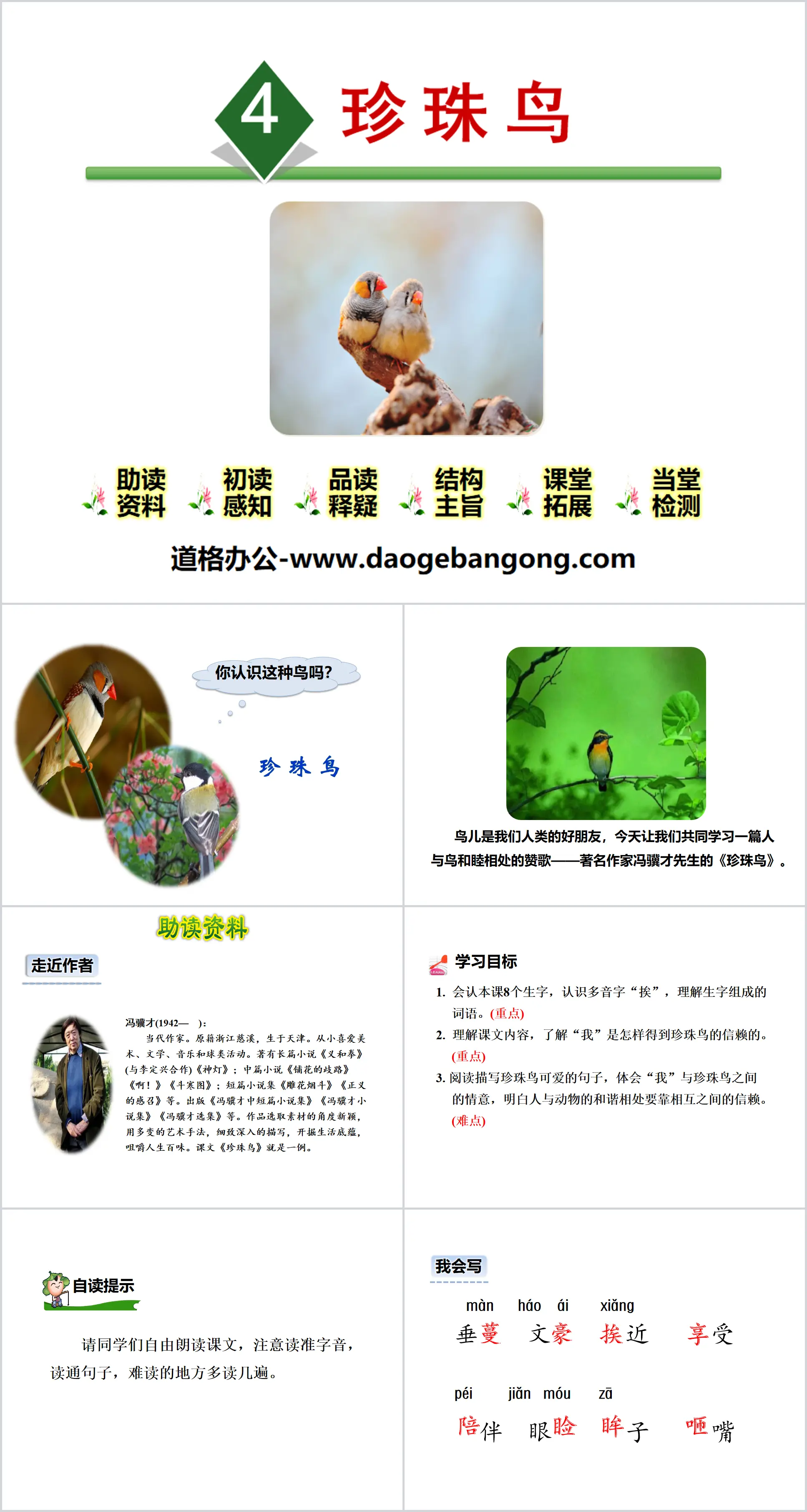 《珍珠鸟》PPT
