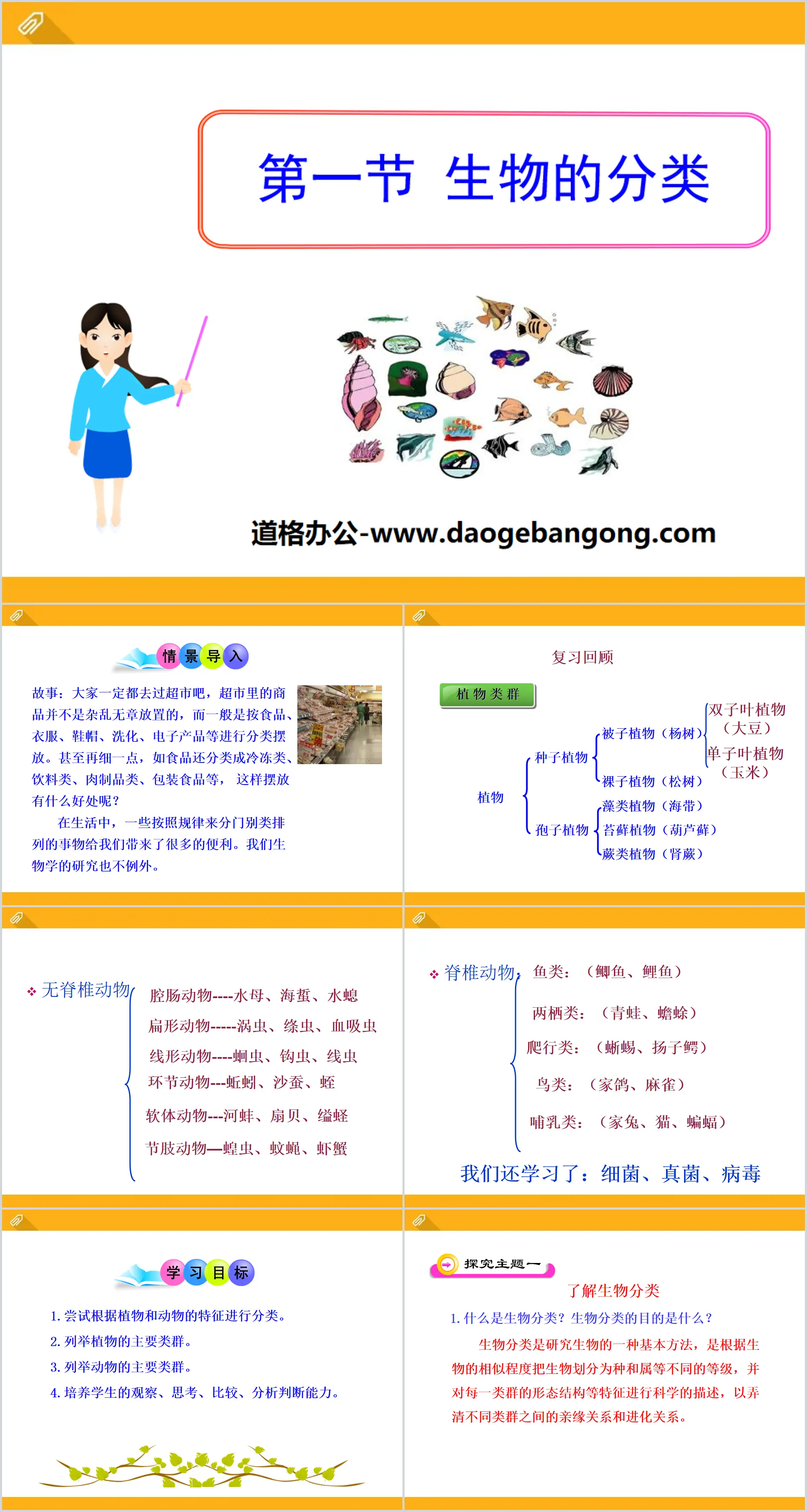 《生物的分类》PPT
