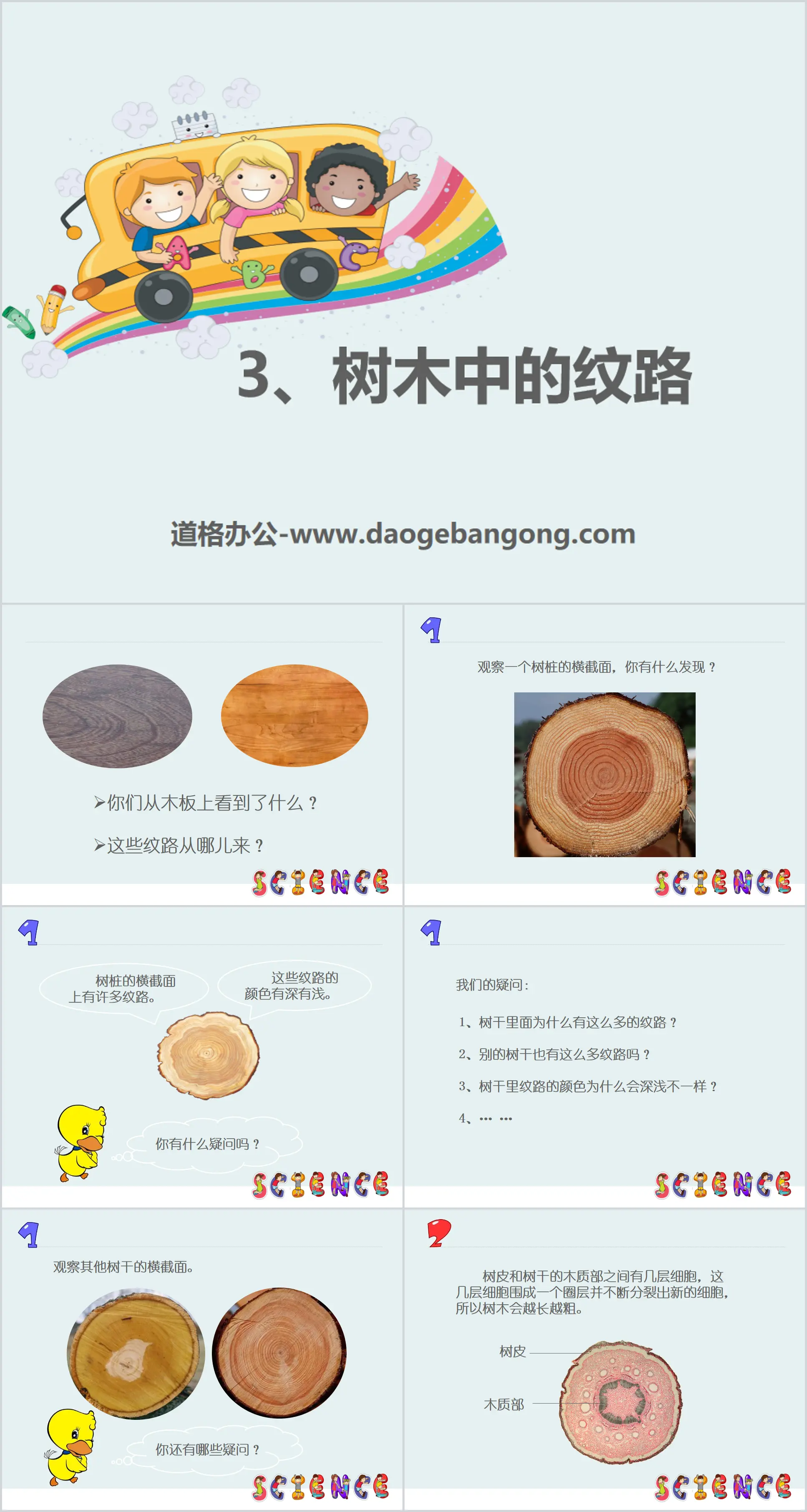 《樹木中的紋路》走進樹林PPT課件