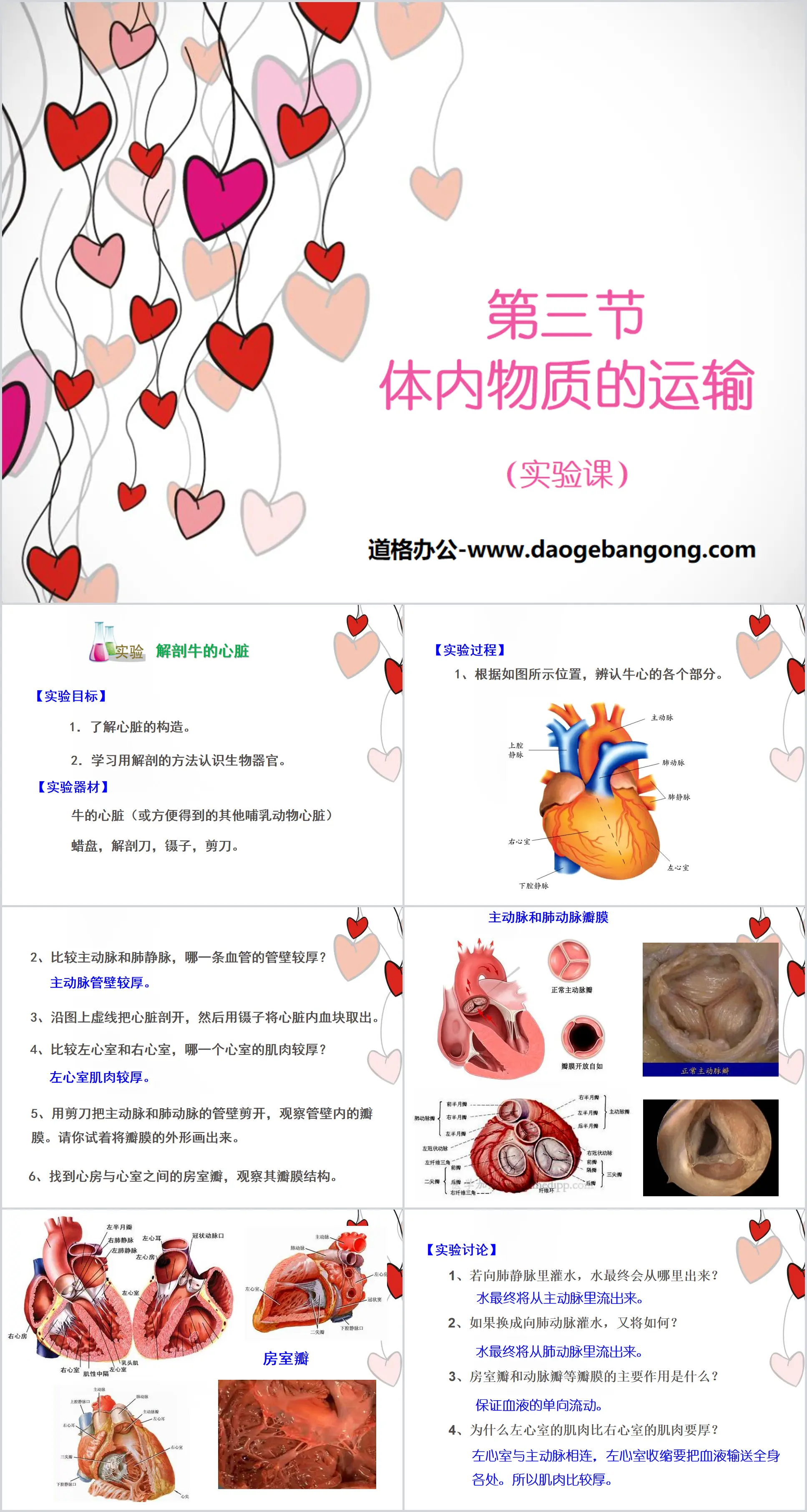 《体内物质的运输》PPT(实验课)
