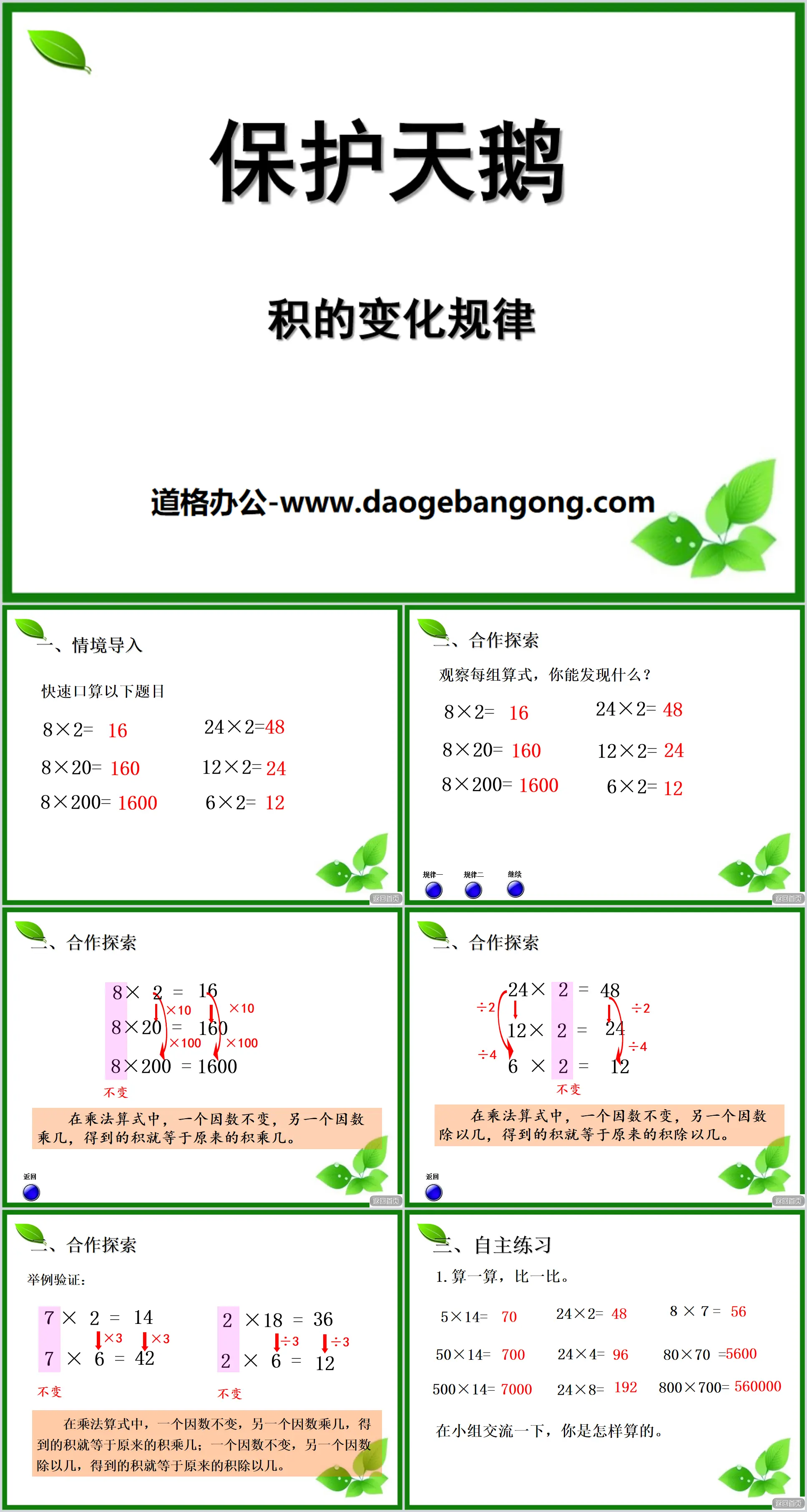 《保护天鹅》PPT课件4
