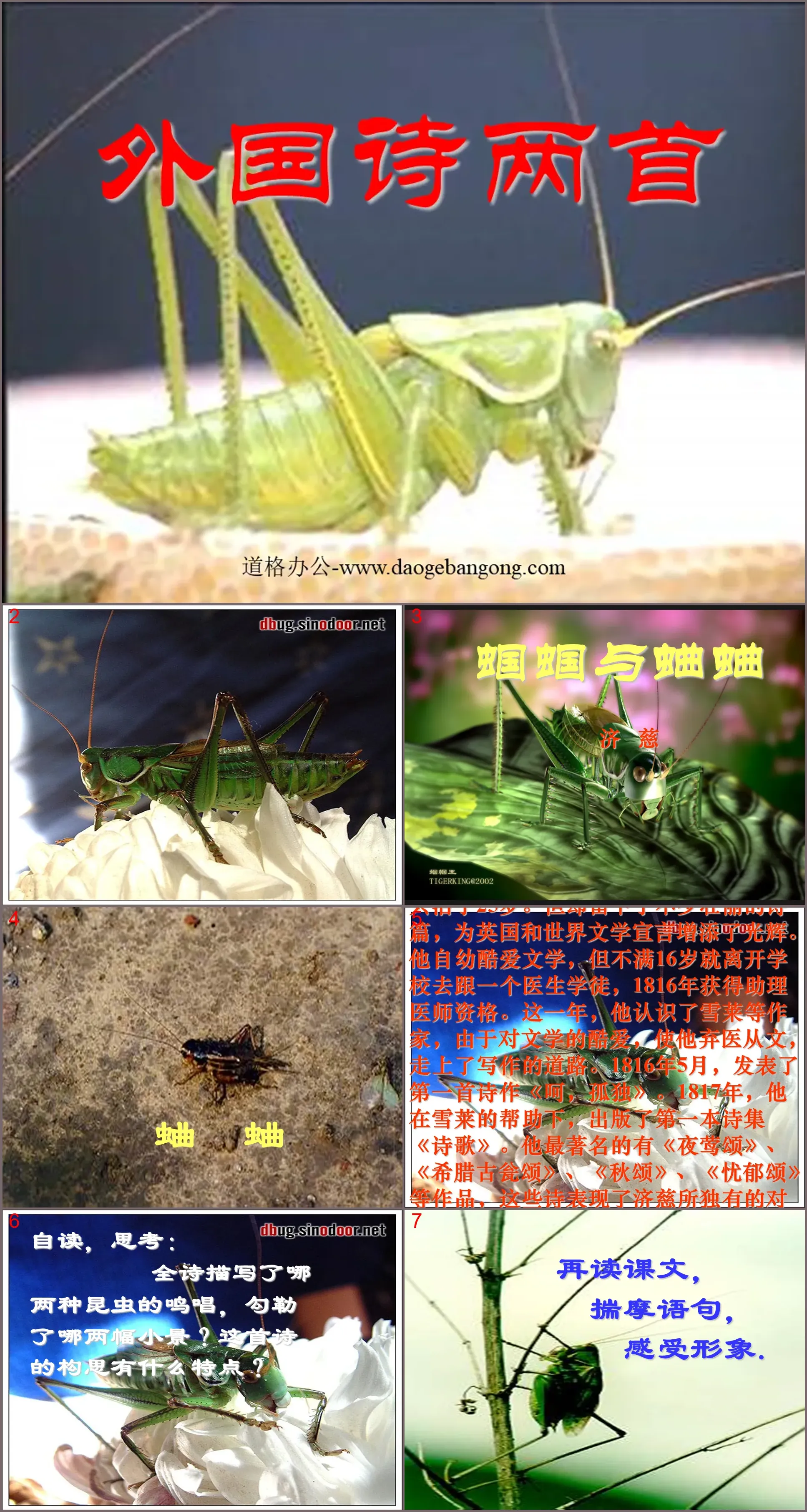 Two foreign poems "The Grasshopper and the Cricket, Night" PPT Courseware 4