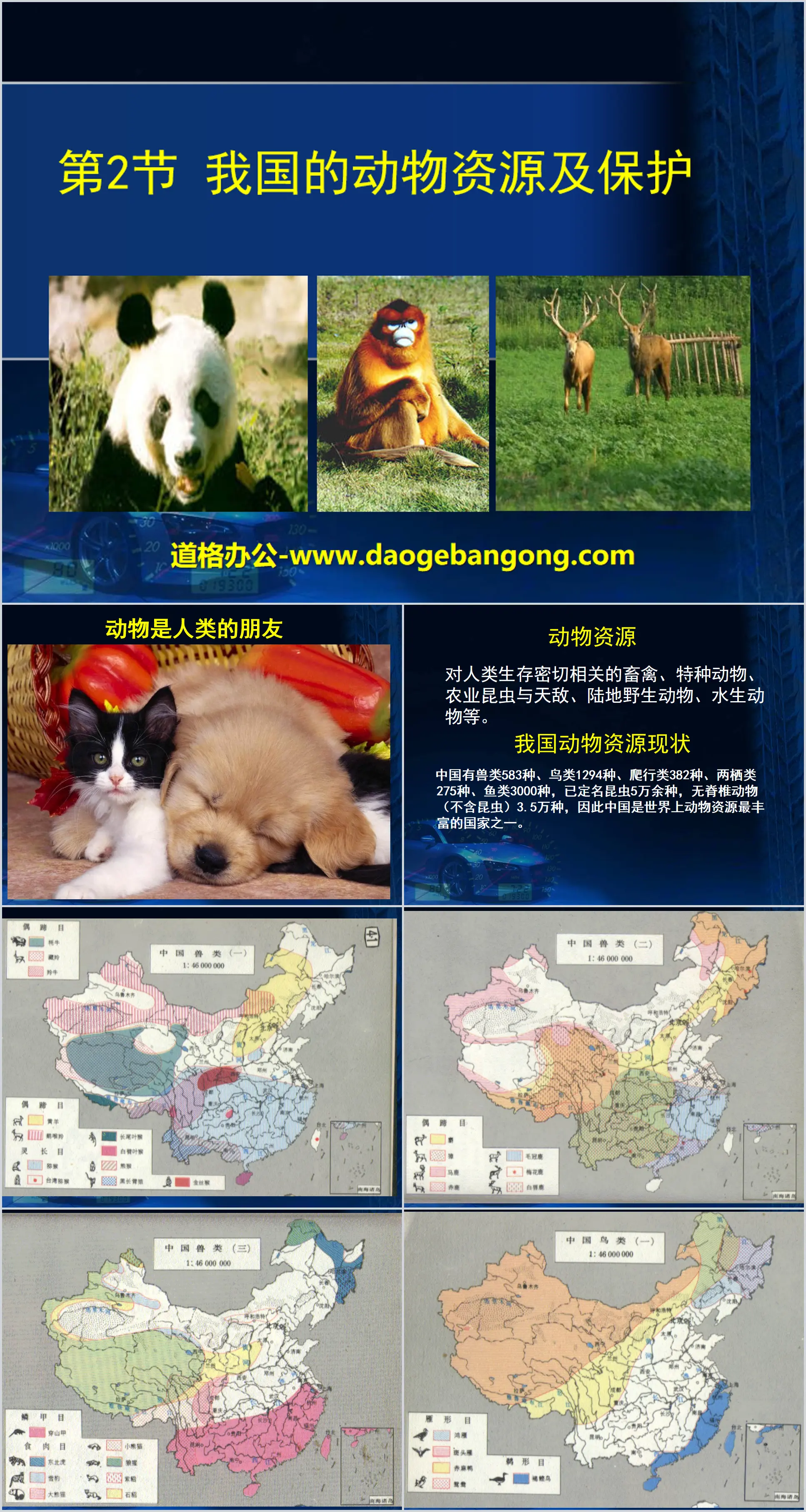 "Animal Resources and Protection in my country" PPT courseware