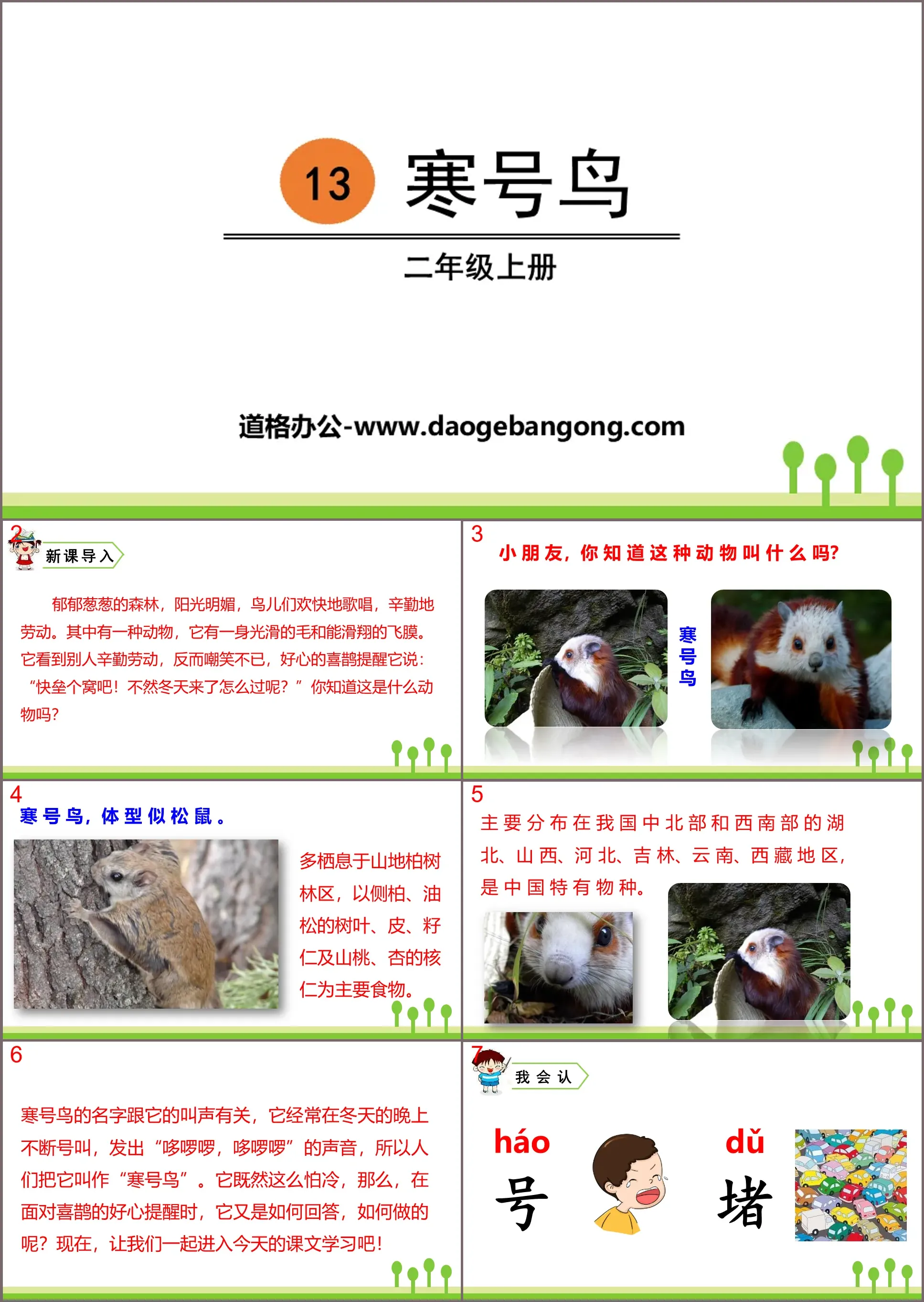 "Hanhao Bird" PPT excellent courseware