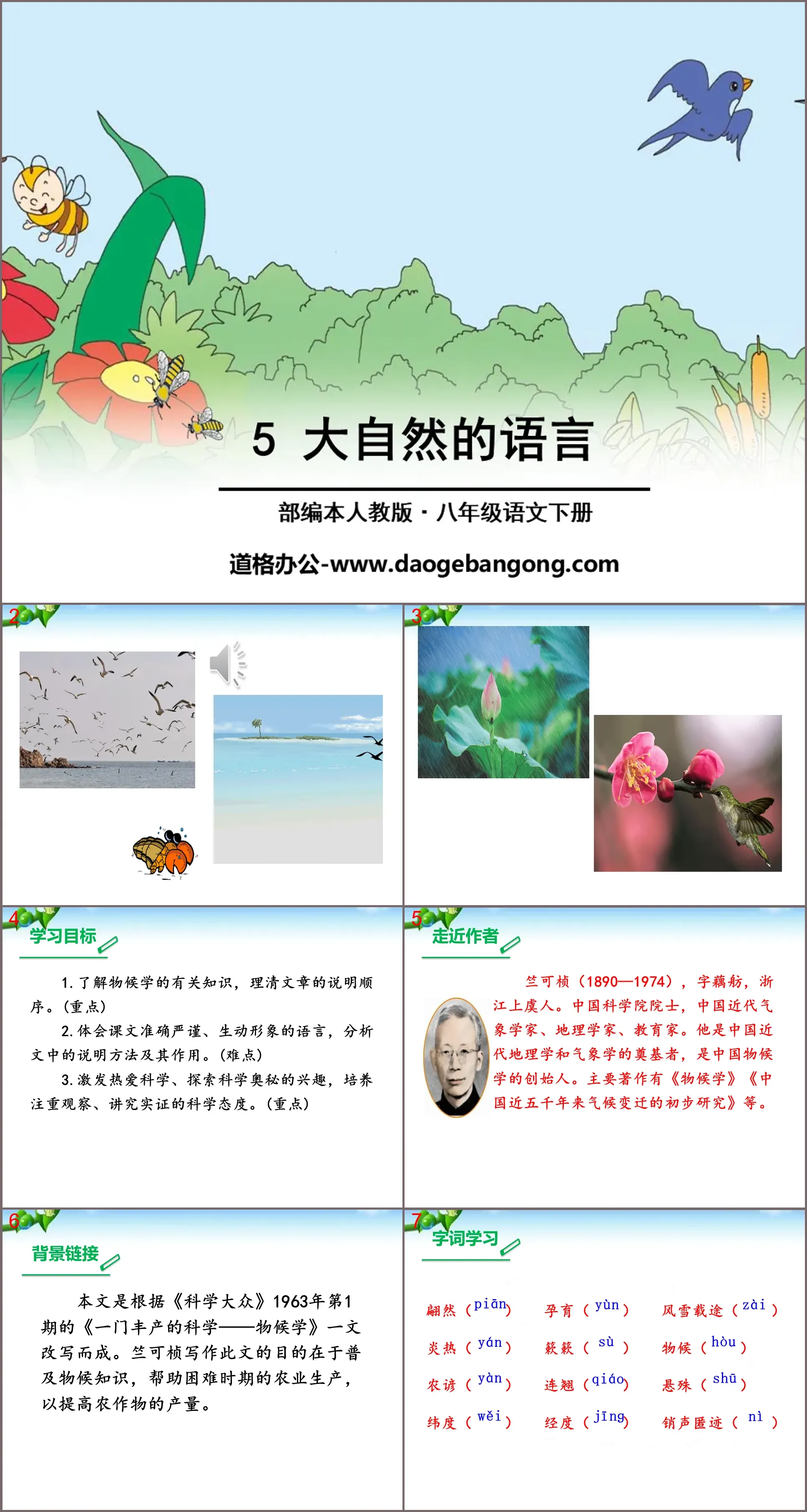 《大自然的语言》PPT