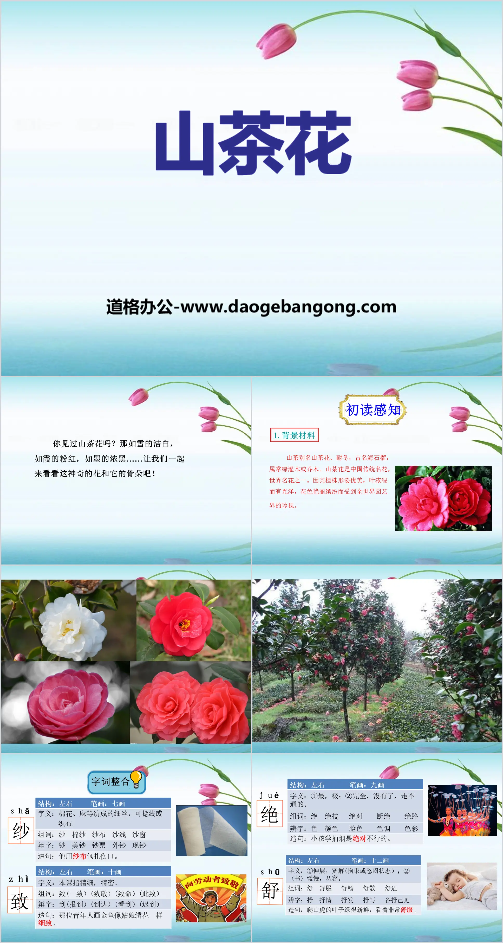 《山茶花》PPT
