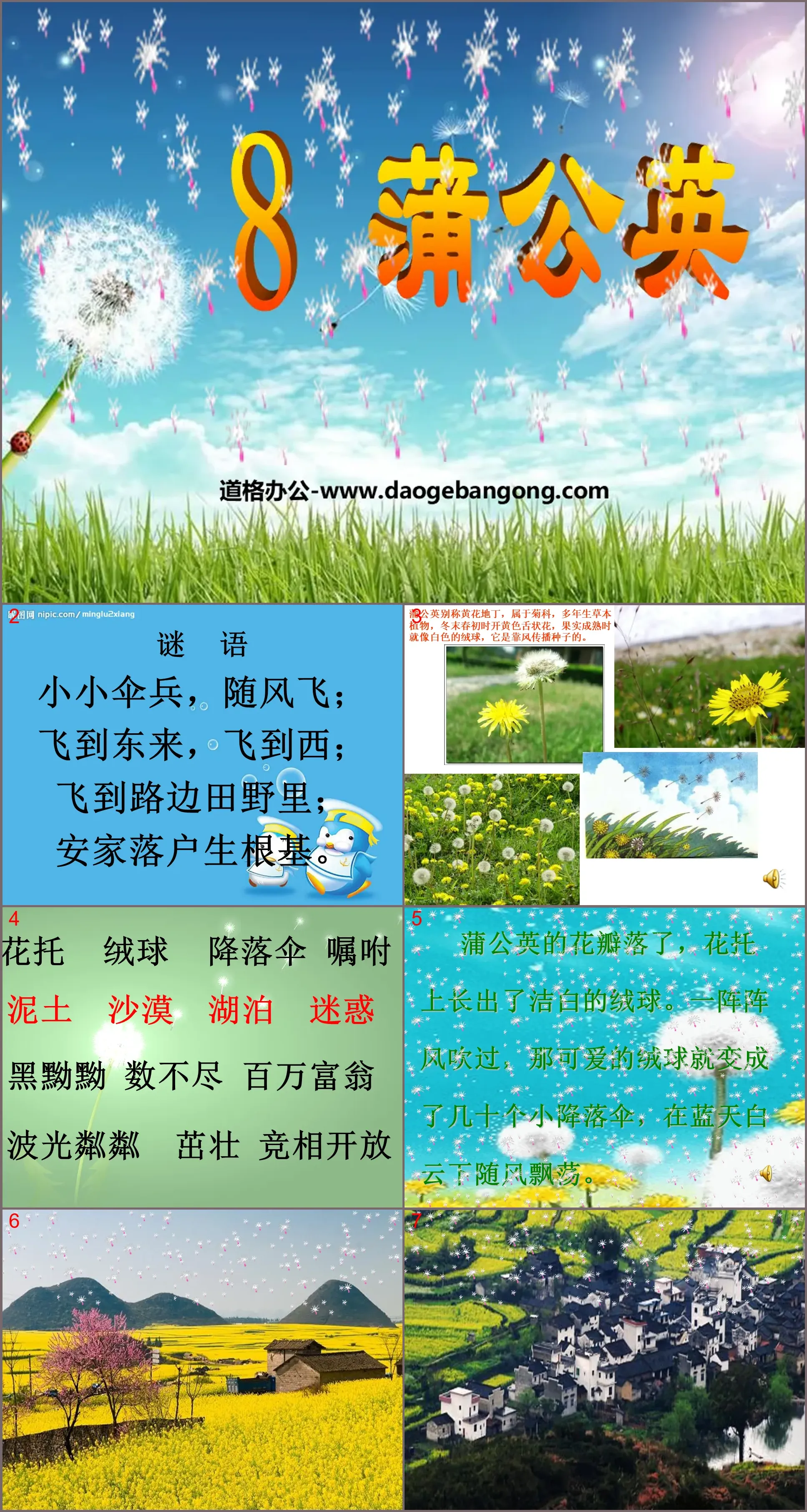 "Dandelion" PPT courseware 3